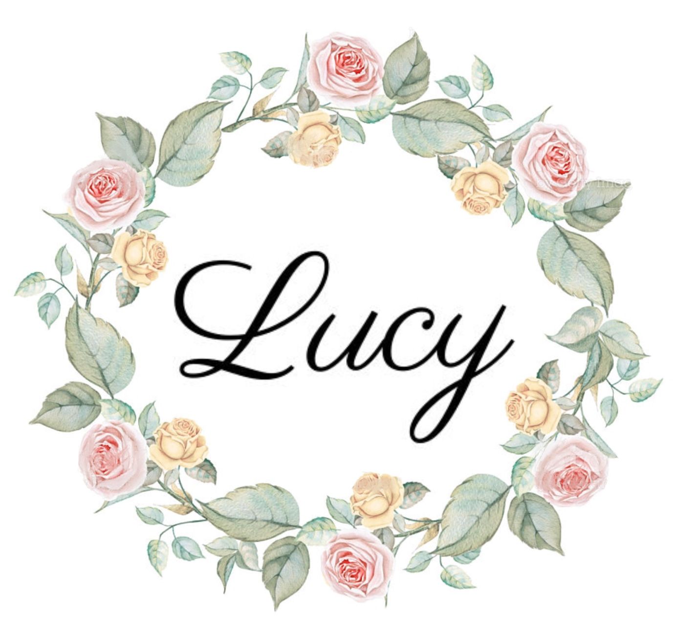 Lucy Rose Wallpapers