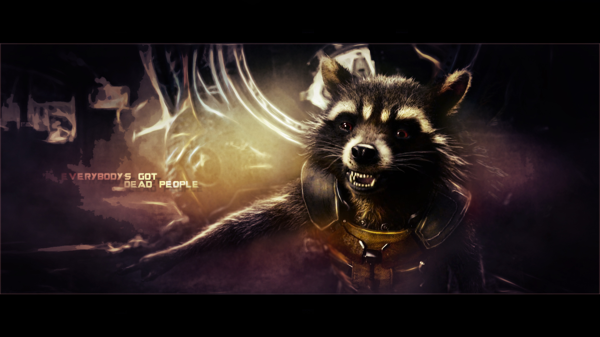 Racoon Wallpapers