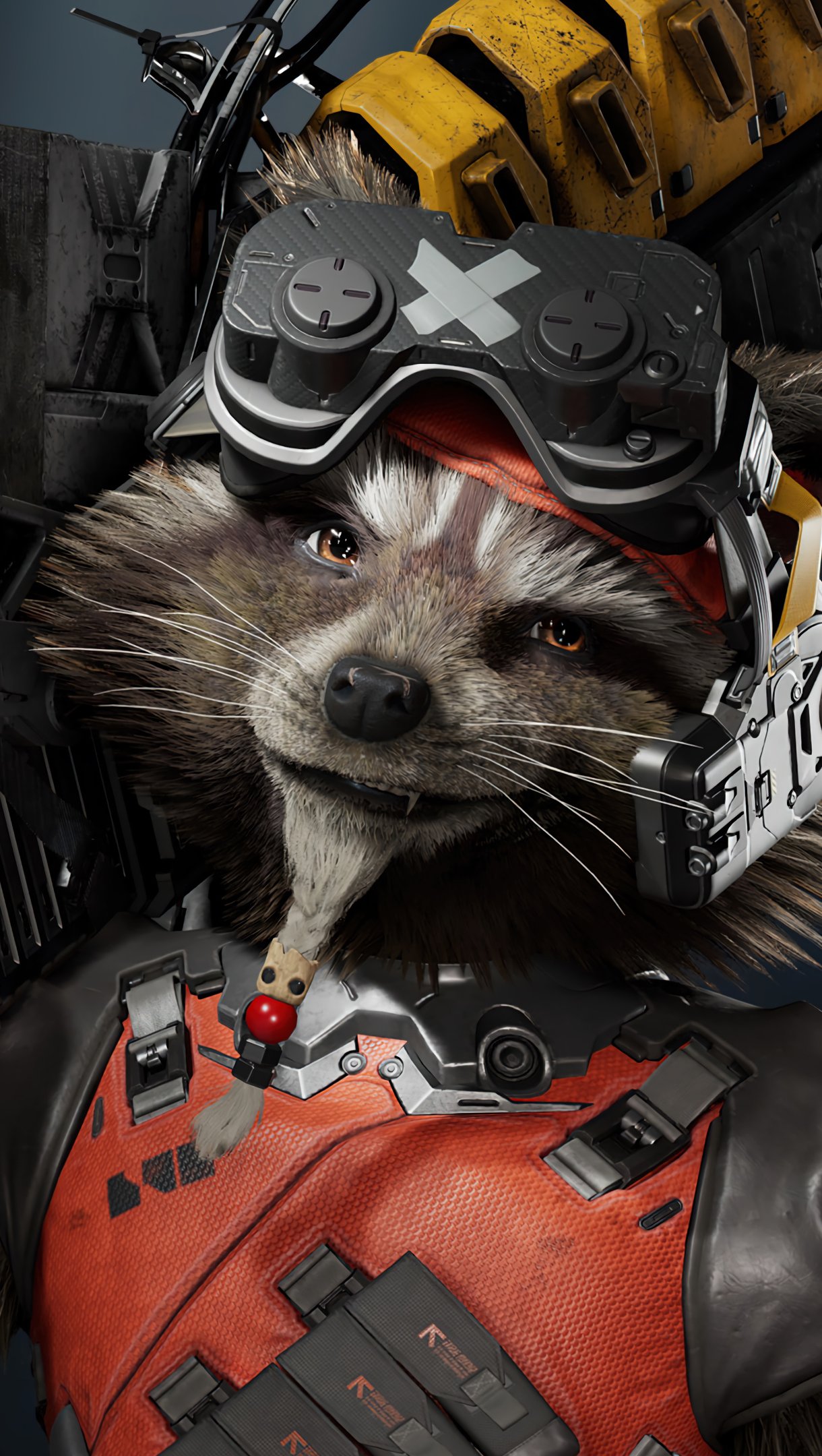 Racoon Wallpapers