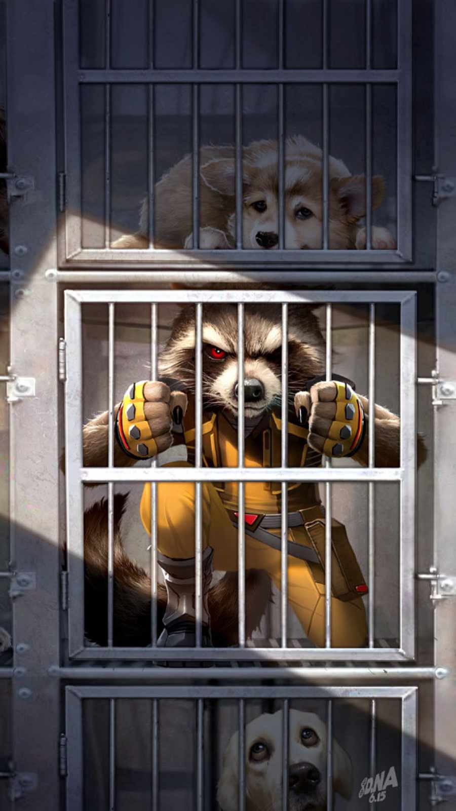 Racoon Wallpapers