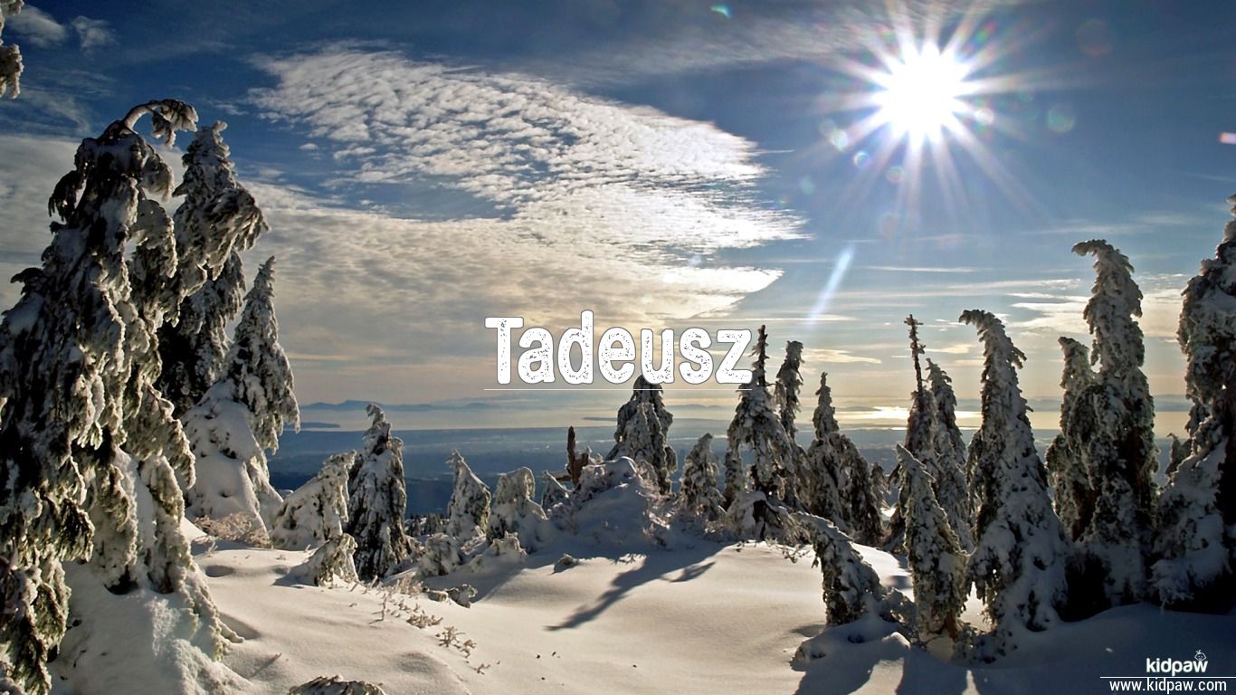 Tadeusz Nalepa Wallpapers