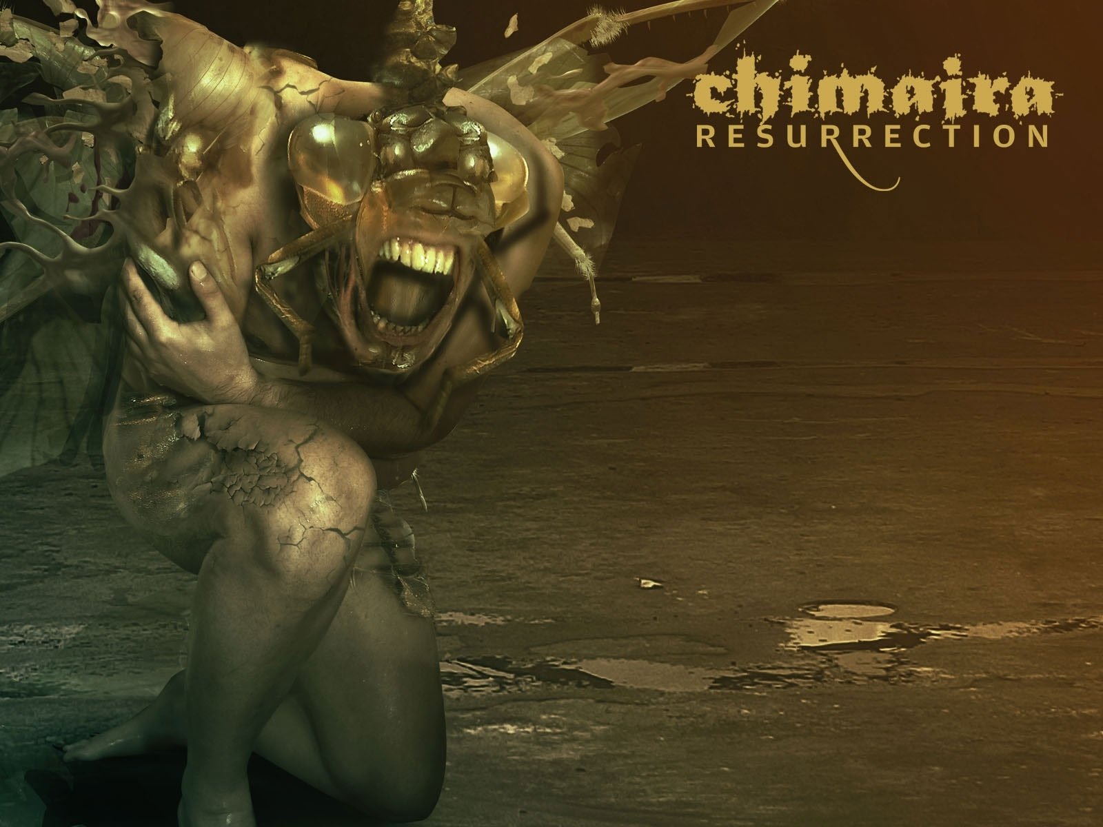 Chimaira Wallpapers