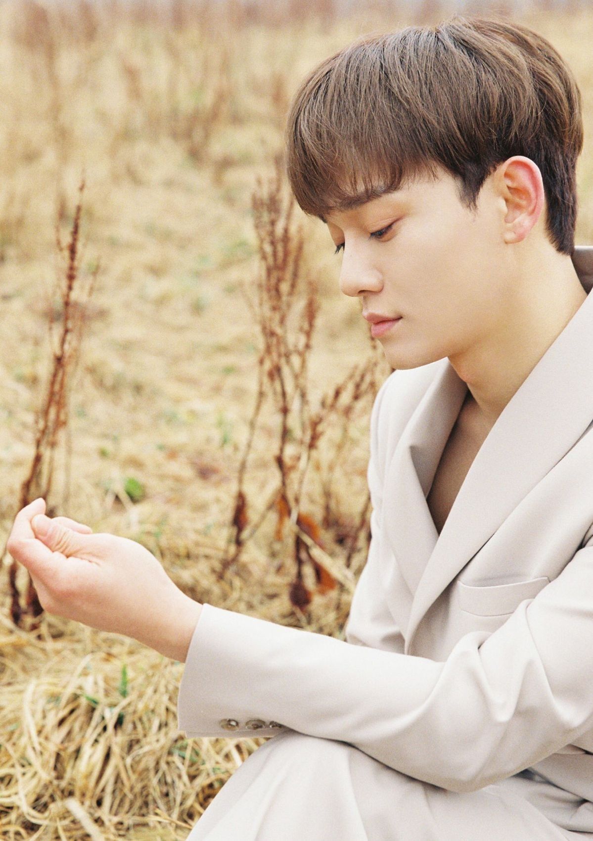 Chen Sд«Sд« Wallpapers