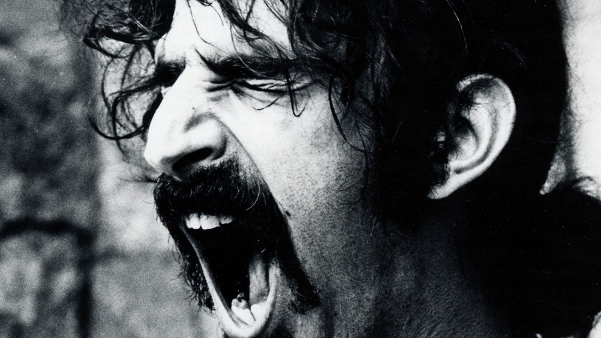 Frank Zappa Wallpapers