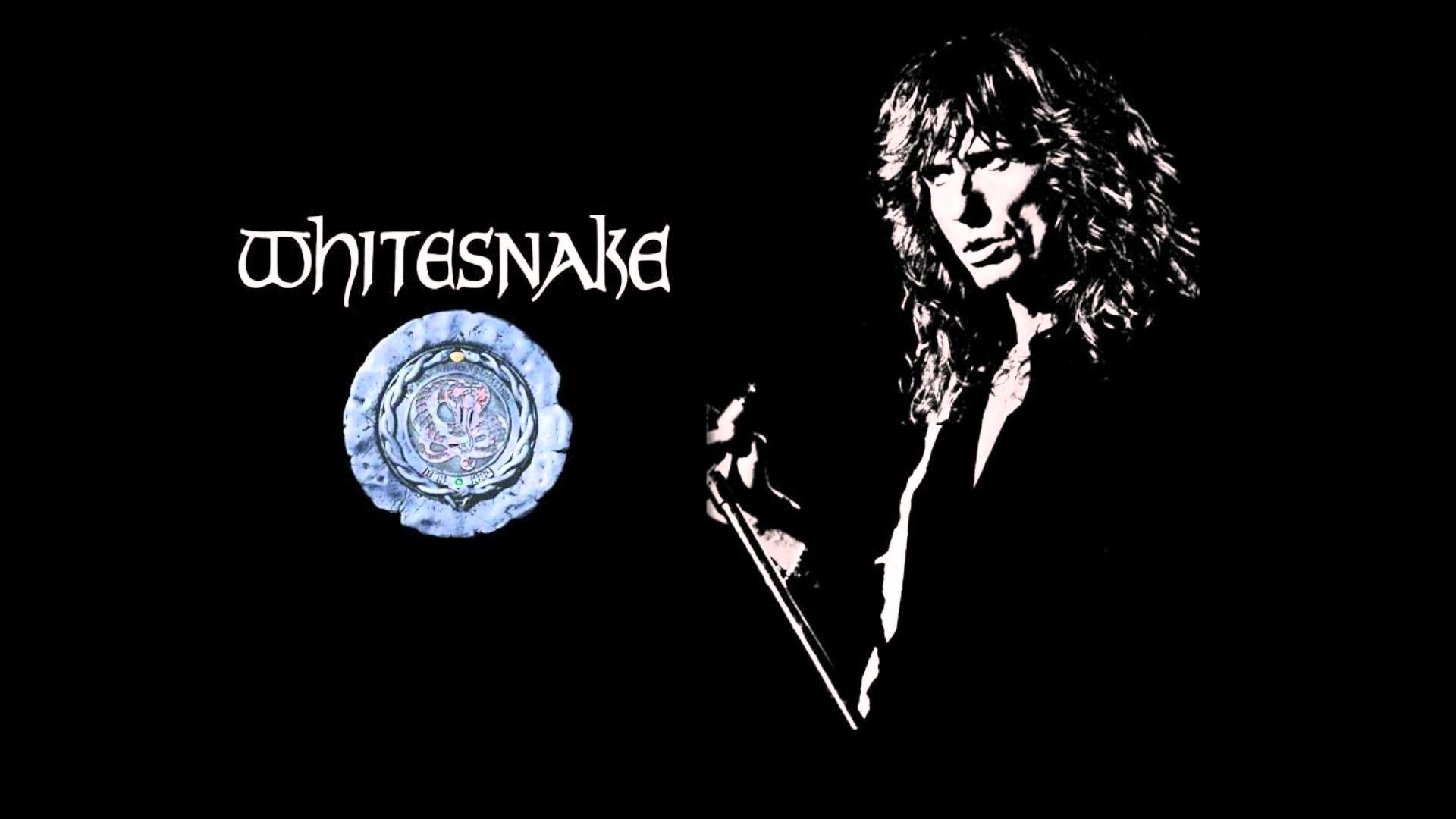 Whitesnake Wallpapers