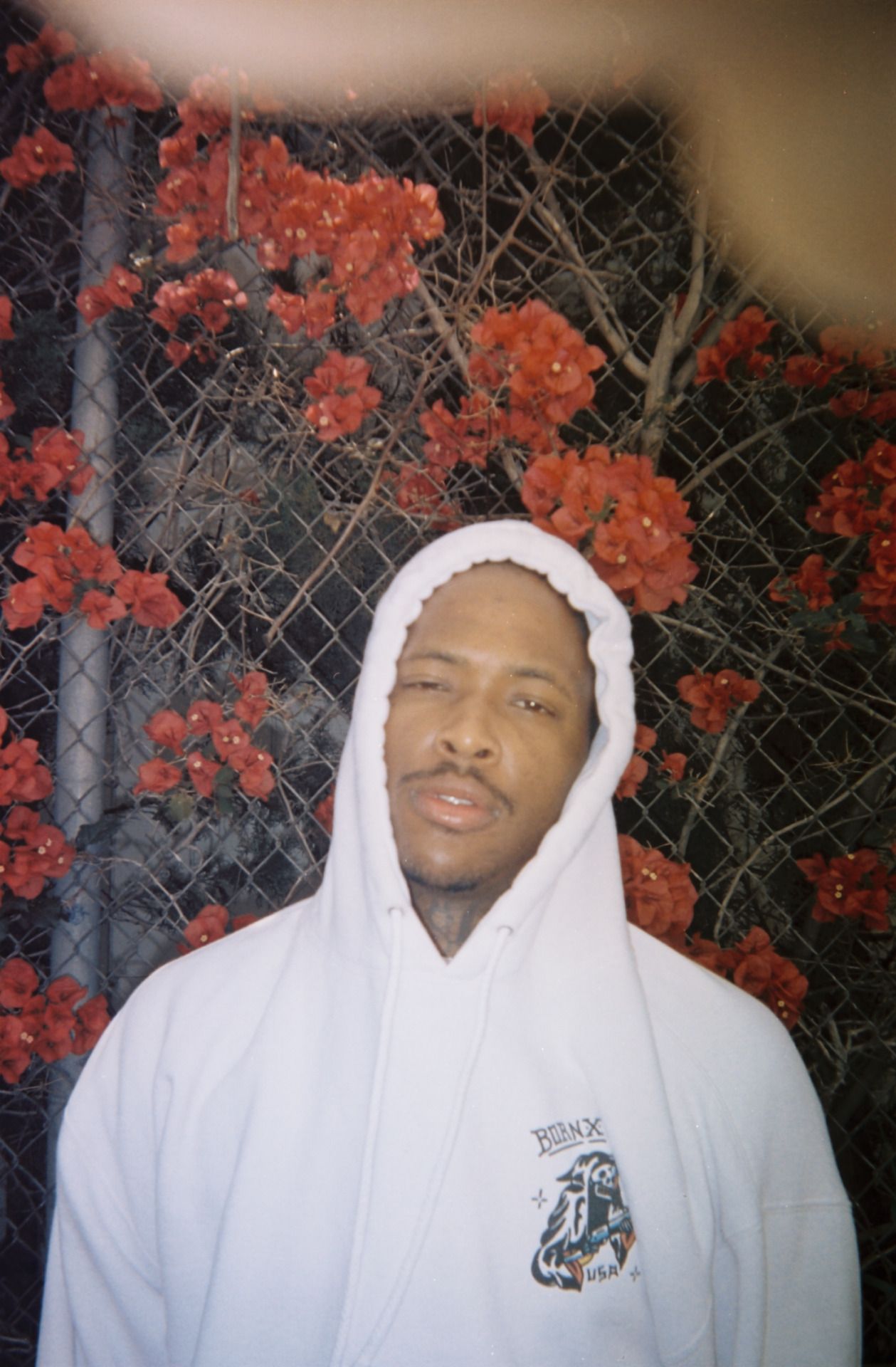 Yg Wallpapers