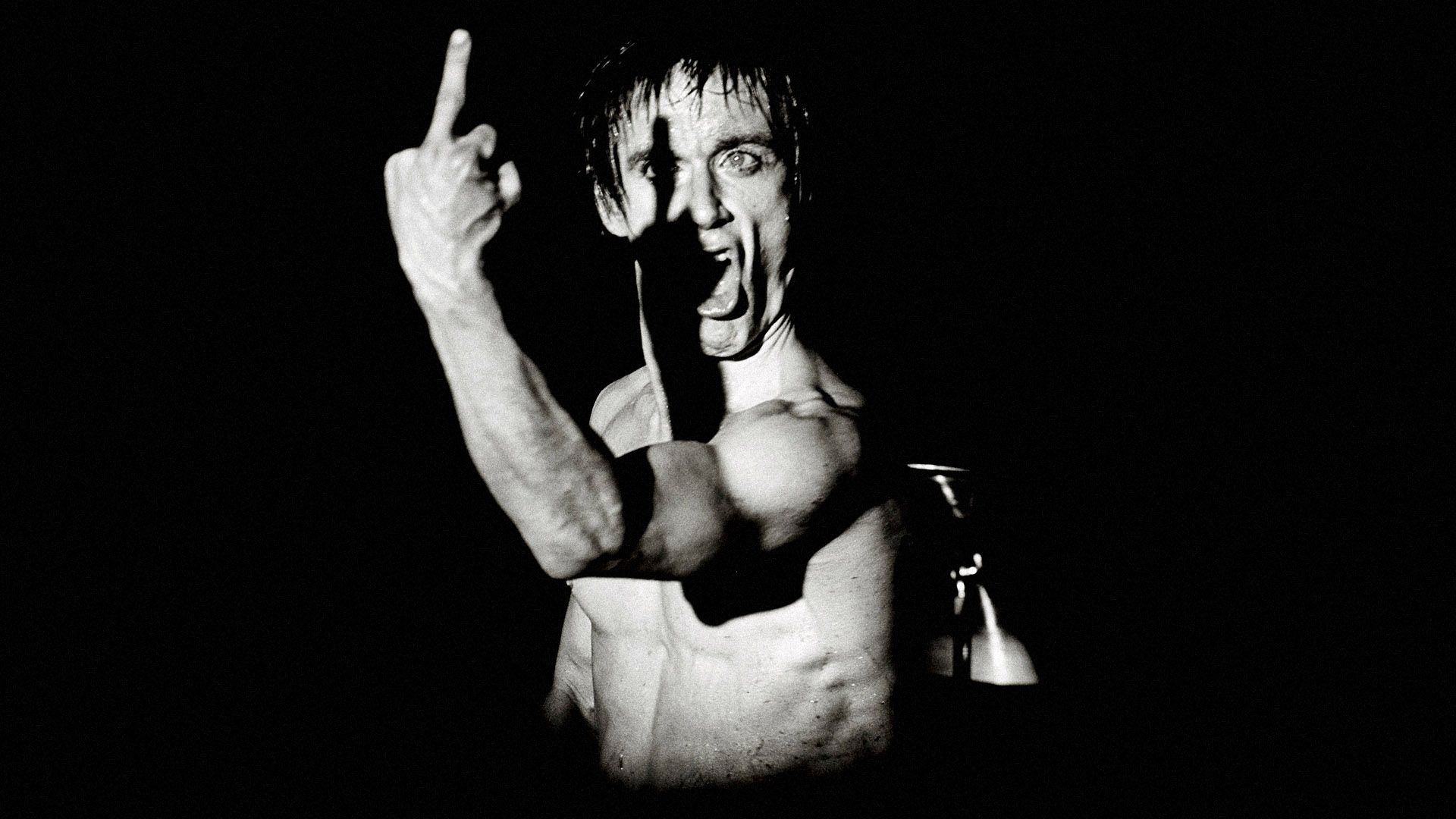 Iggy Pop Wallpapers