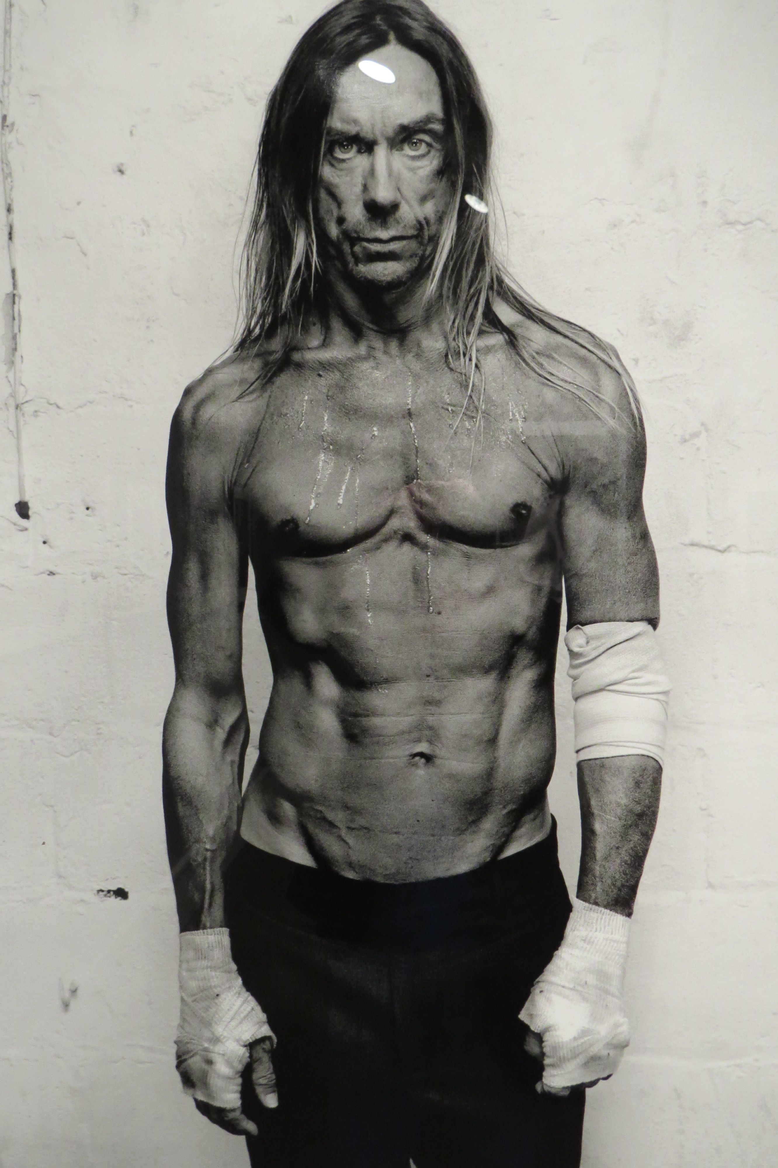 Iggy Pop Wallpapers