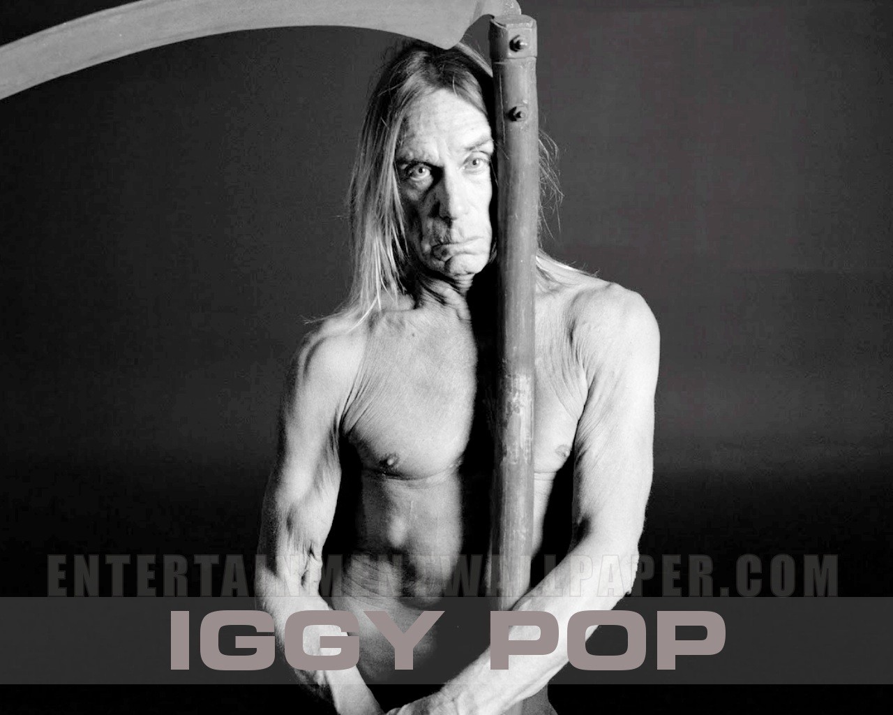 Iggy Pop Wallpapers