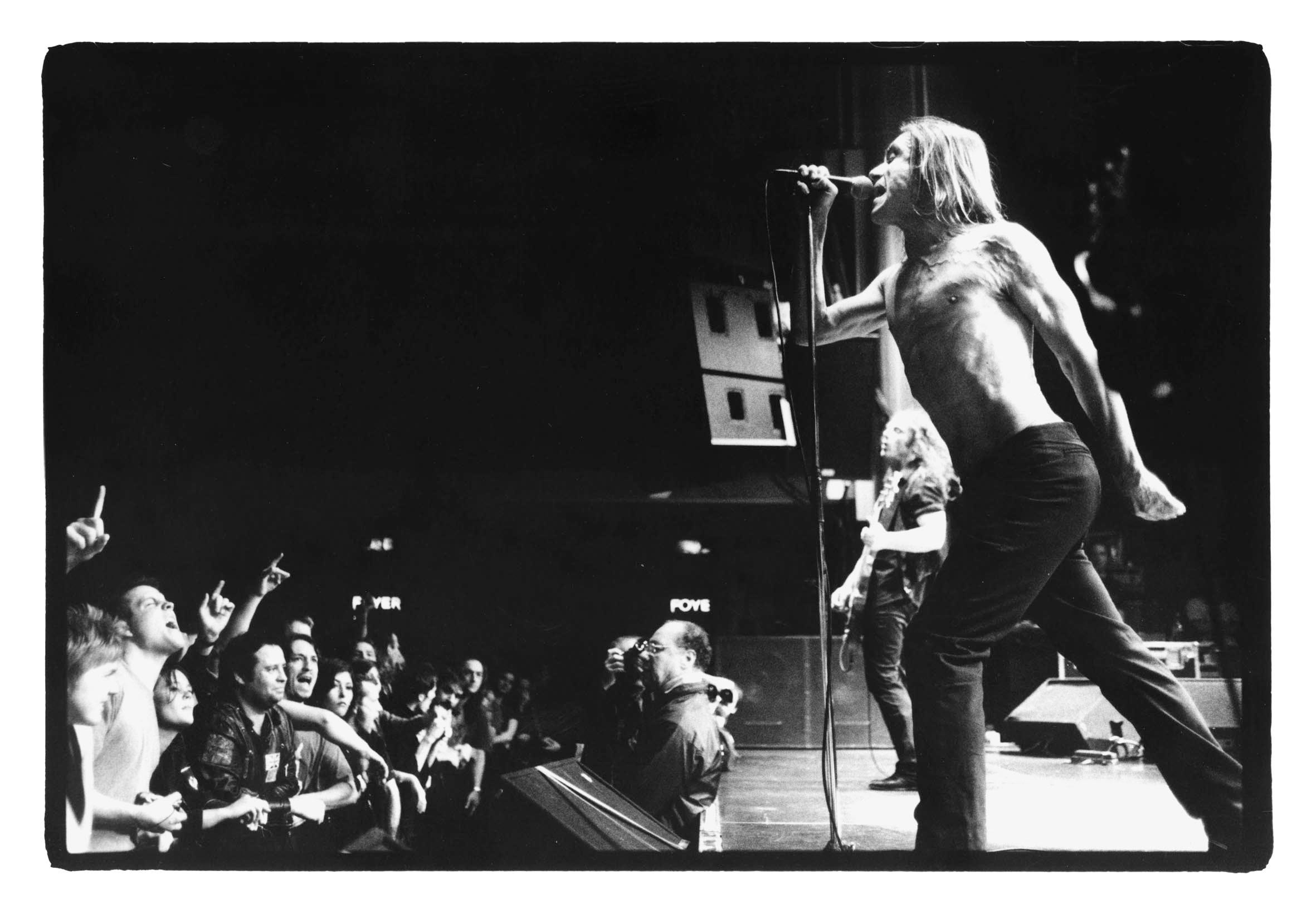 Iggy Pop Wallpapers