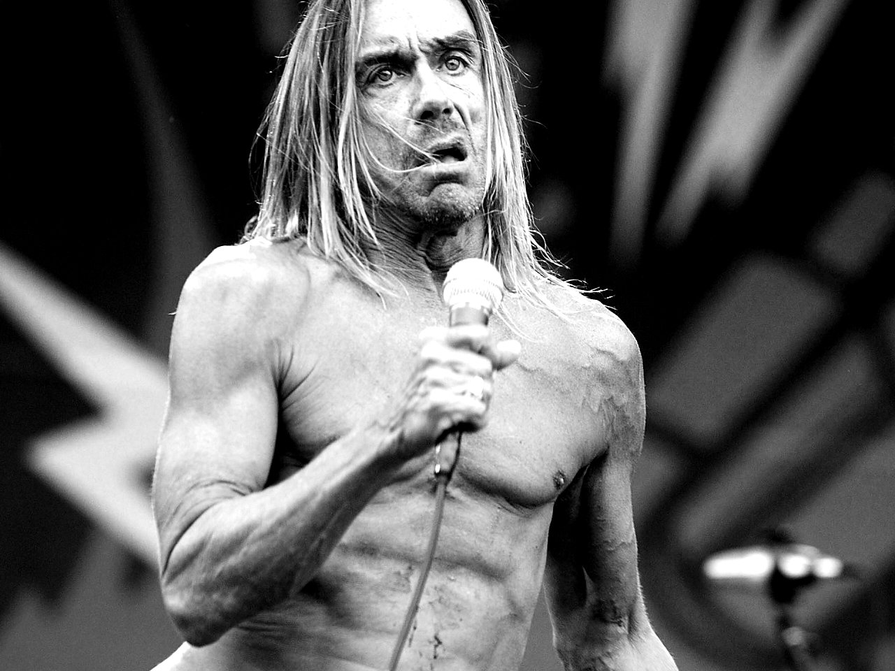 Iggy Pop Wallpapers