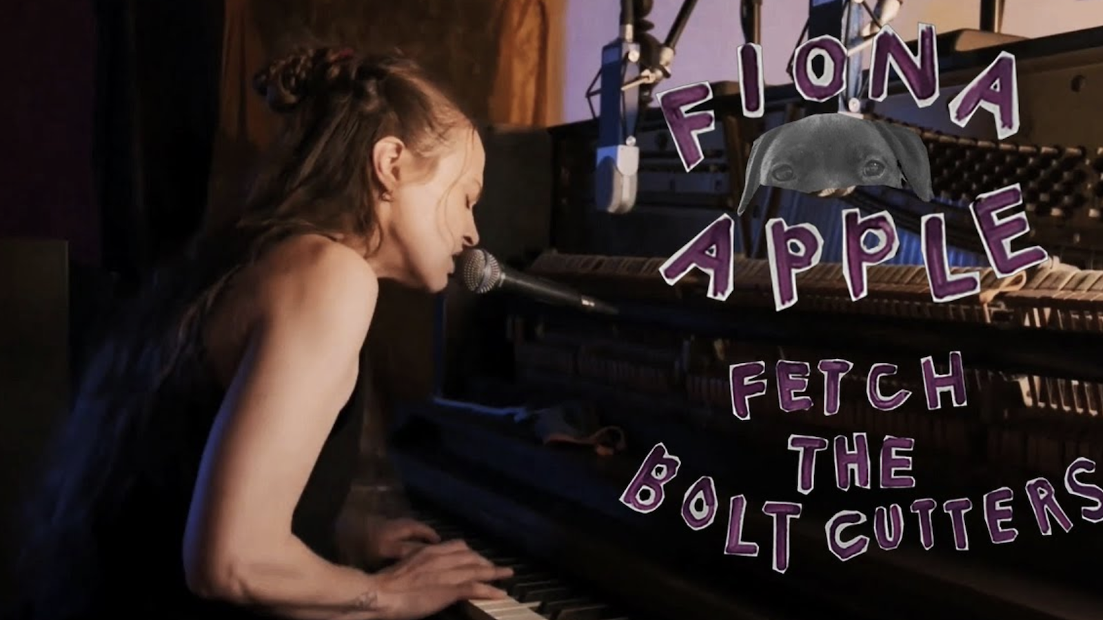 Fiona Apple Wallpapers