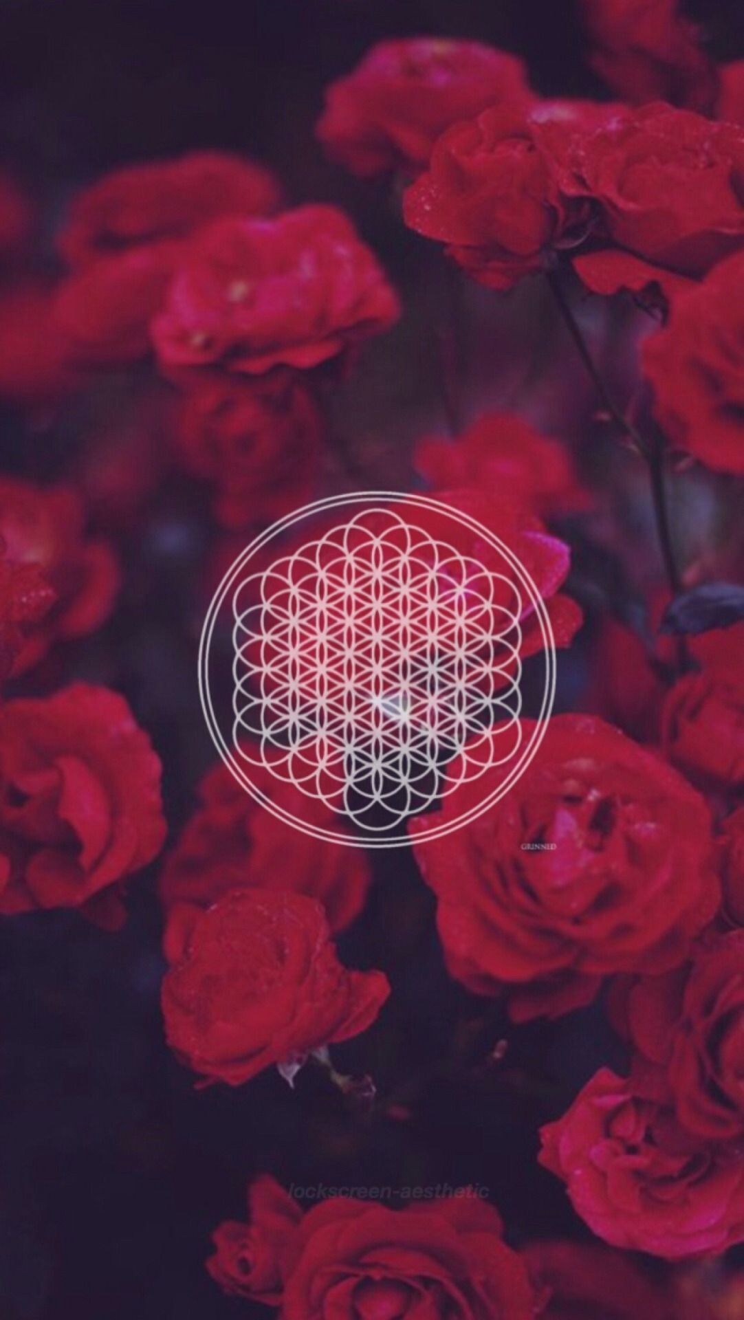 Bring Me The Horizon Wallpapers