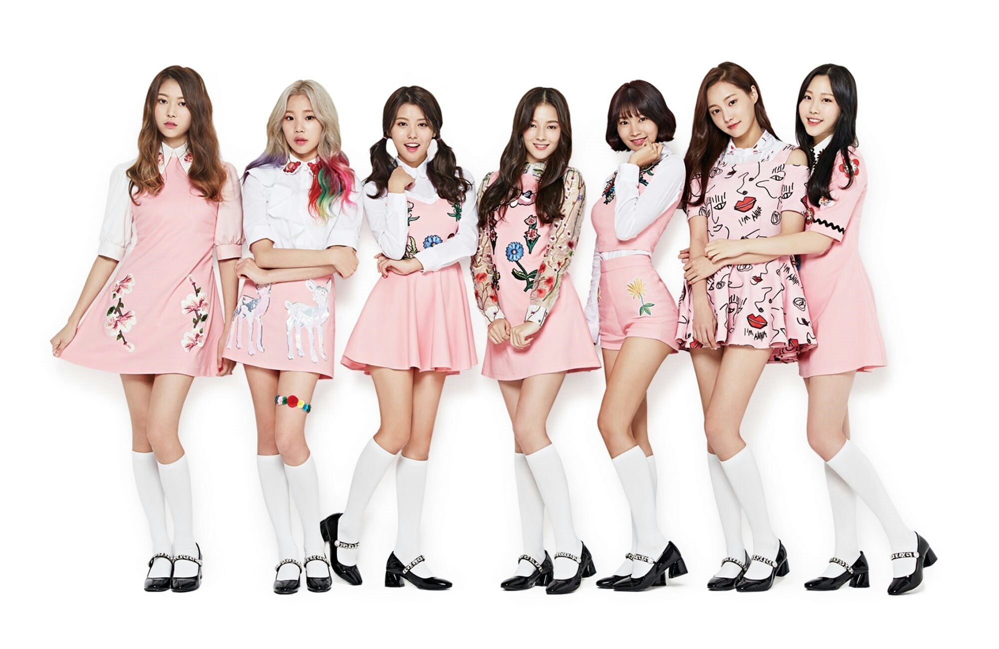 Momoland Wallpapers