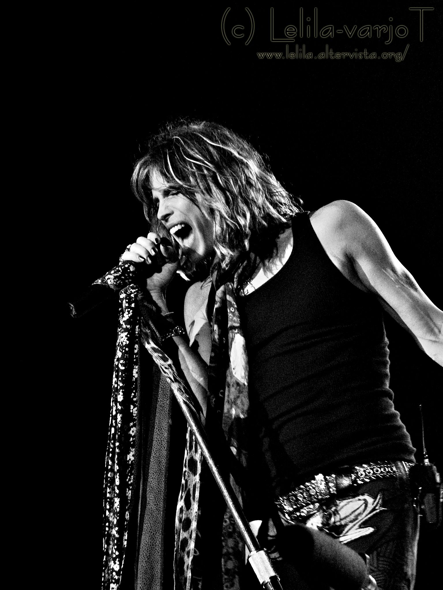 Aerosmith Wallpapers