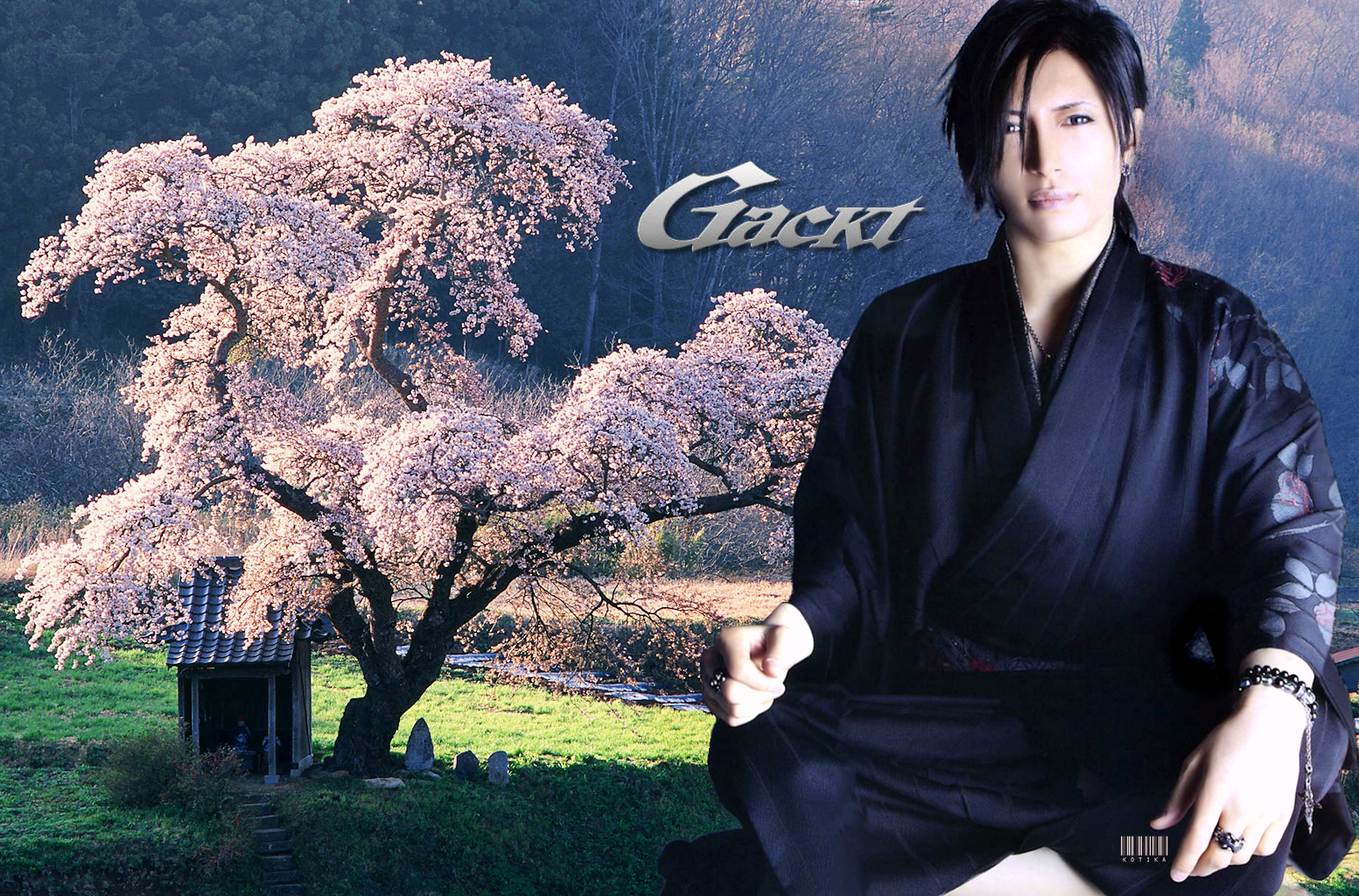 Gackt Wallpapers