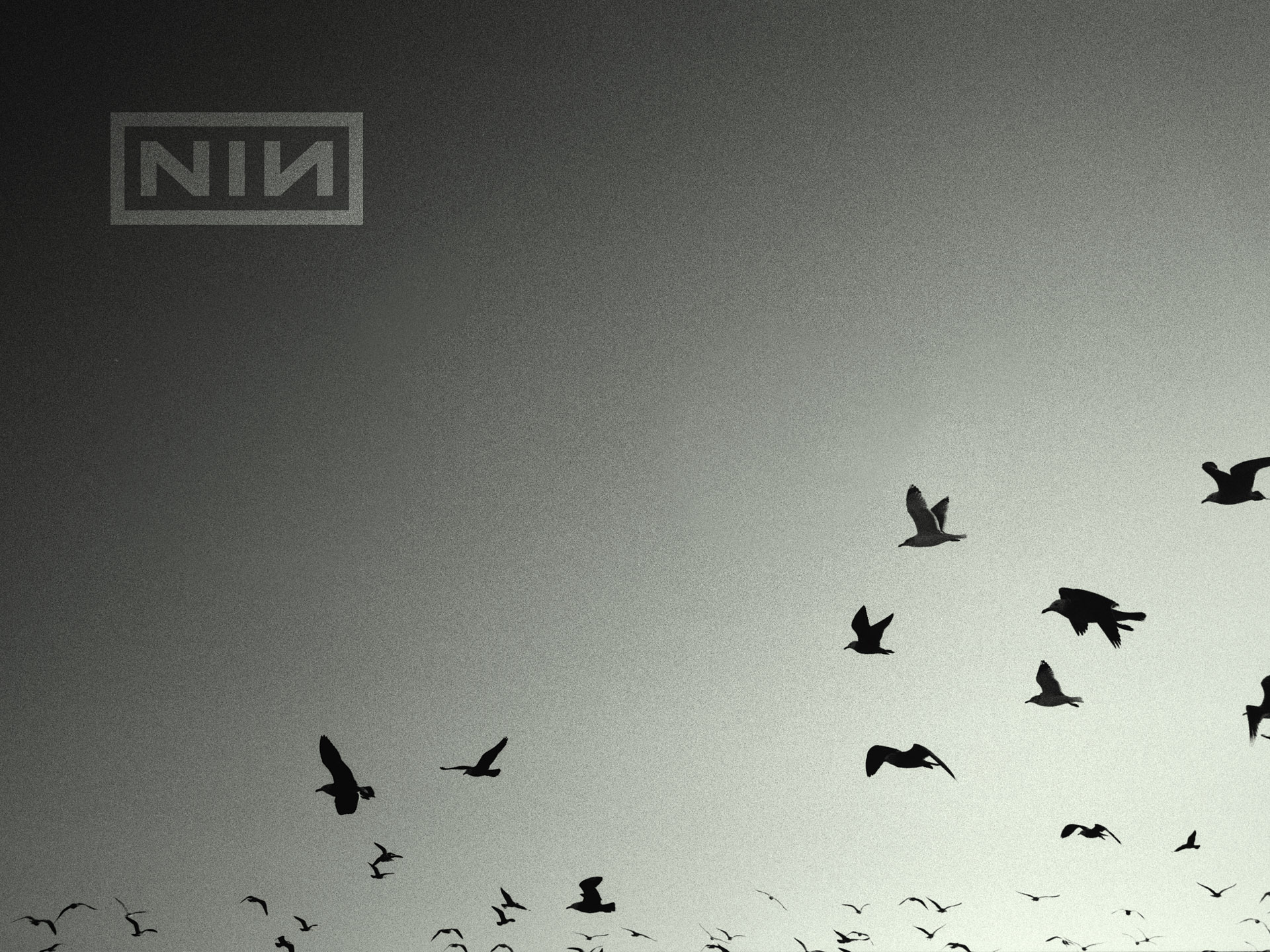 Nine Inch Nails Wallpapers