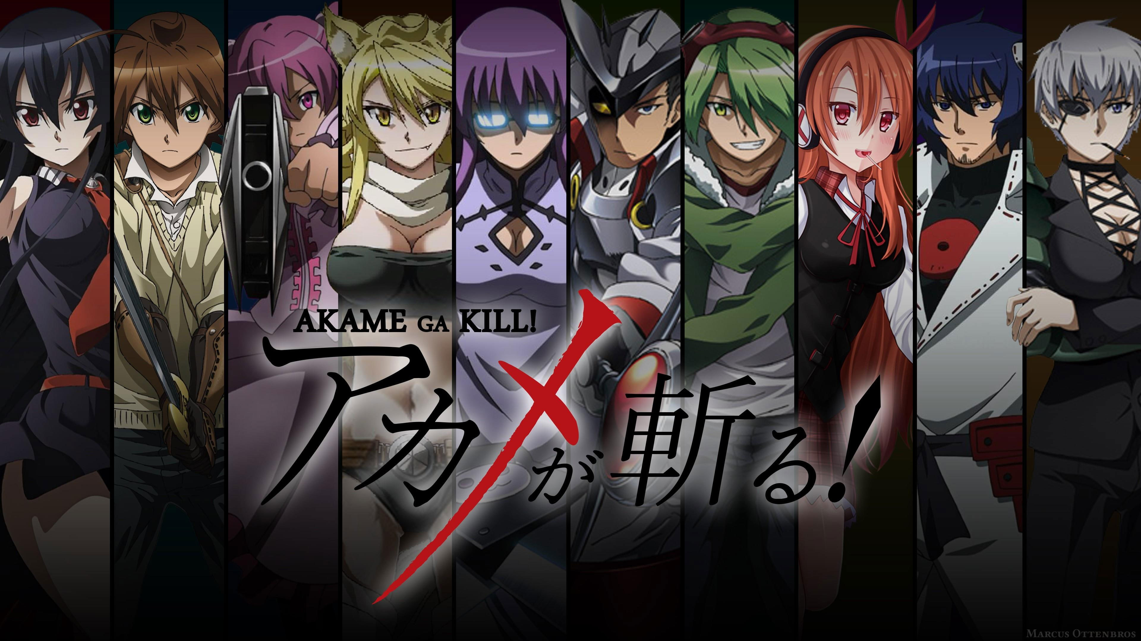 Akame Ga Kill Chelsea Wallpapers