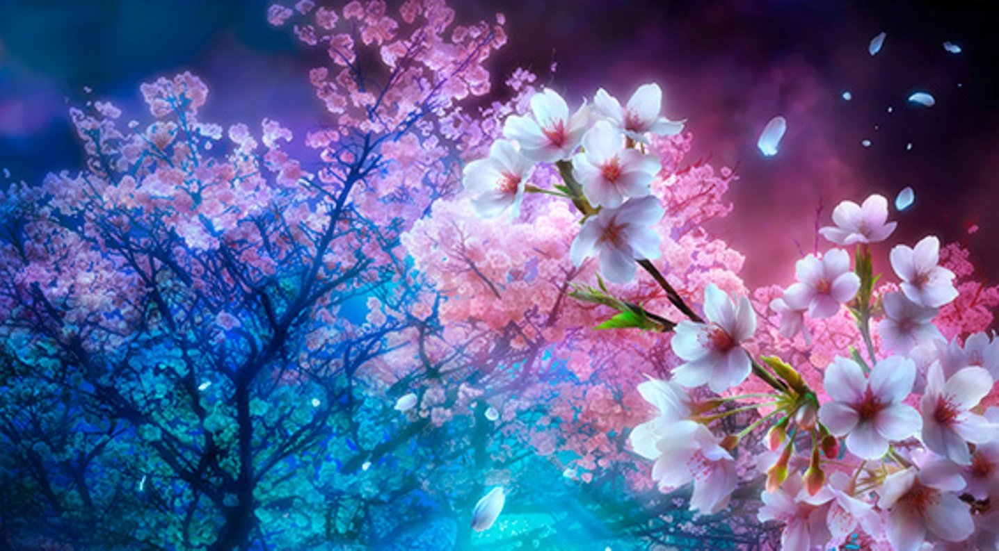 Anime Blossom Wallpapers