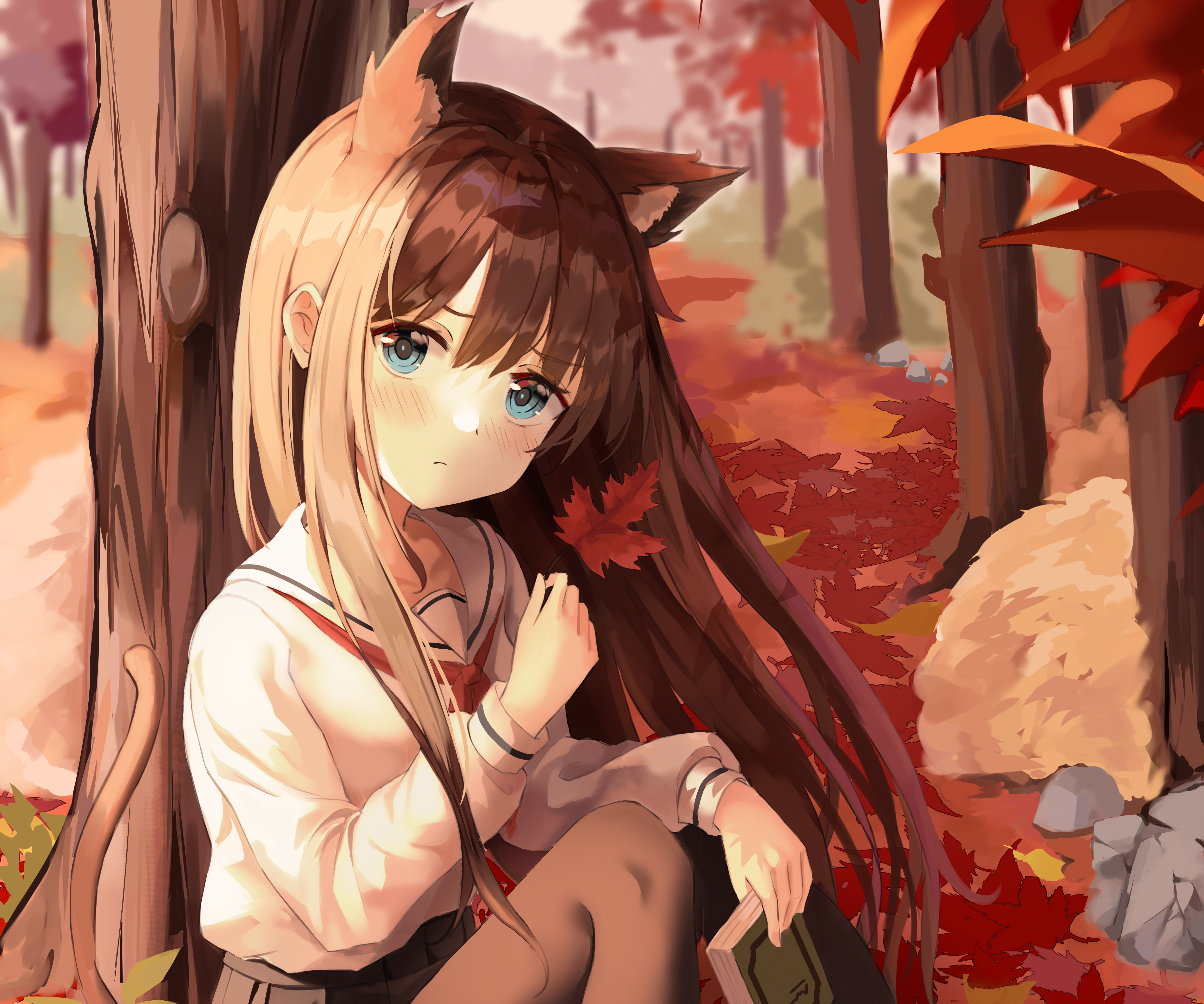 Anime Cat Girl Hd Wallpapers