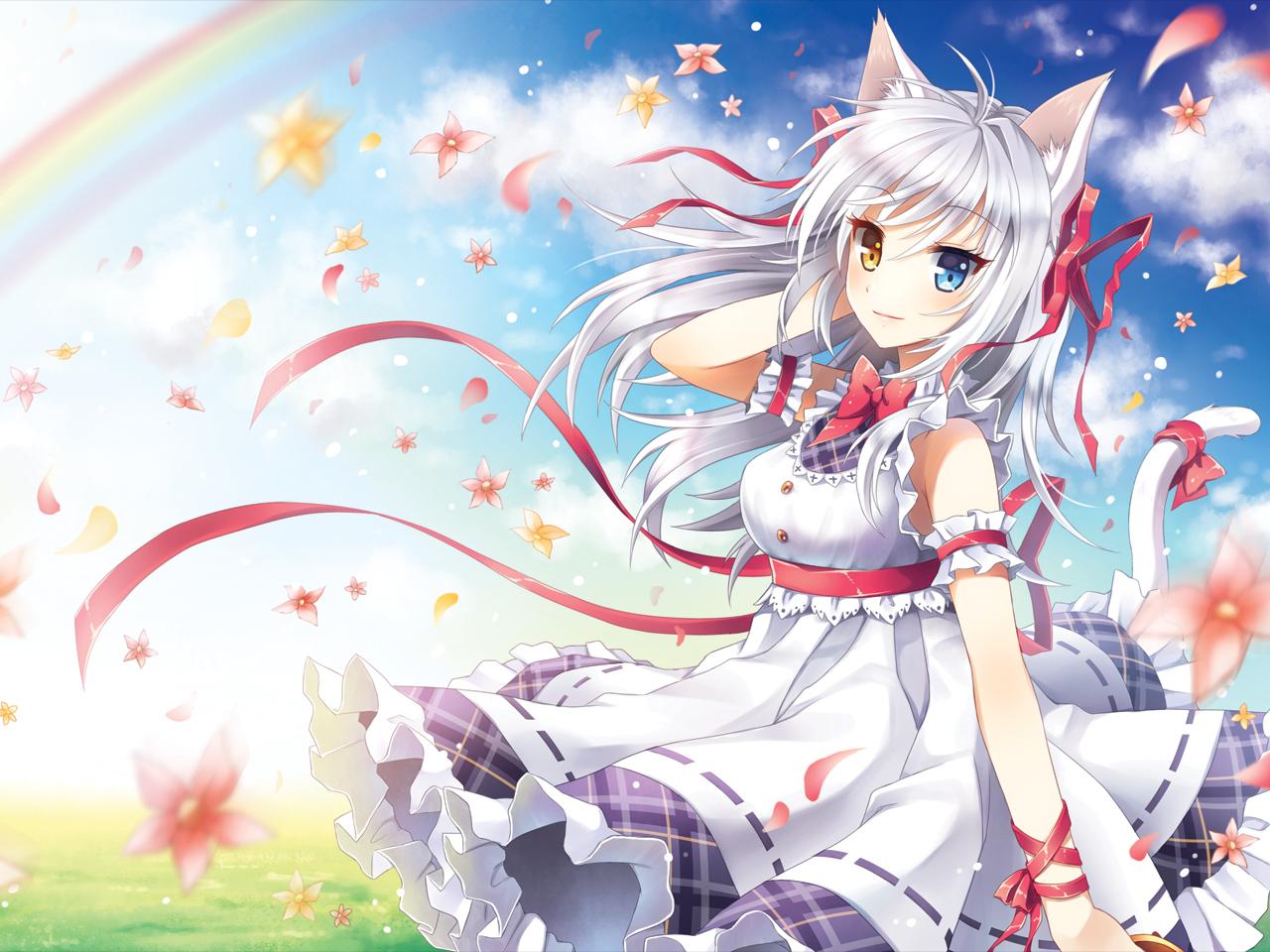 Anime Cat Girl Hd Wallpapers