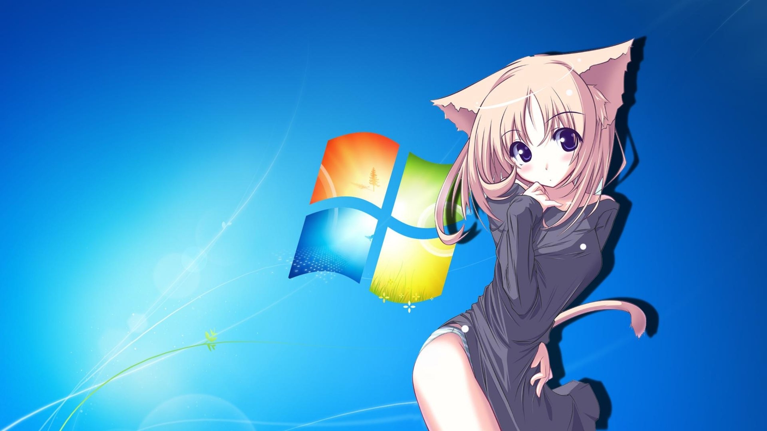 Anime Cat Girl Hd Wallpapers