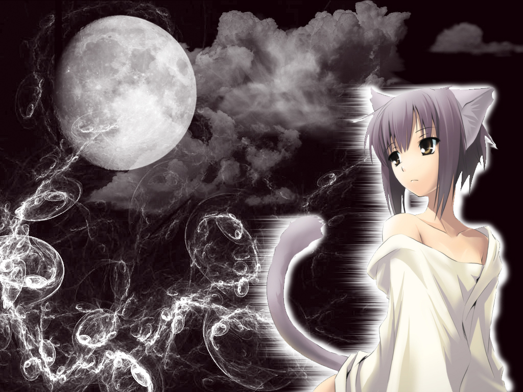 Anime Cat Girl Hd Wallpapers