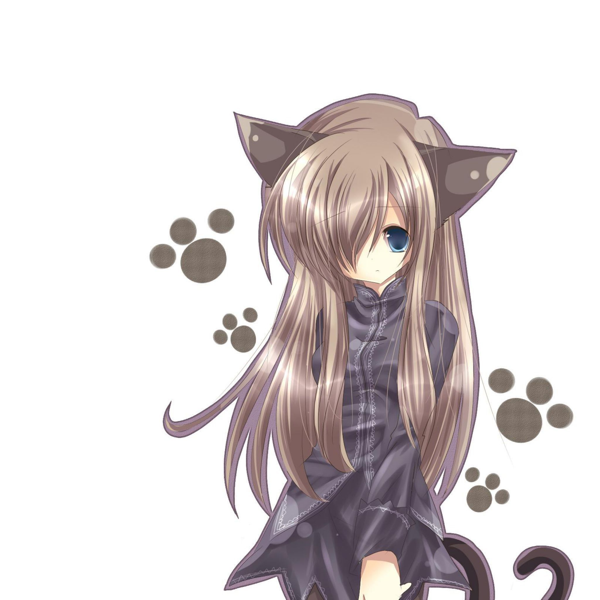 Anime Cat Girl Hd Wallpapers