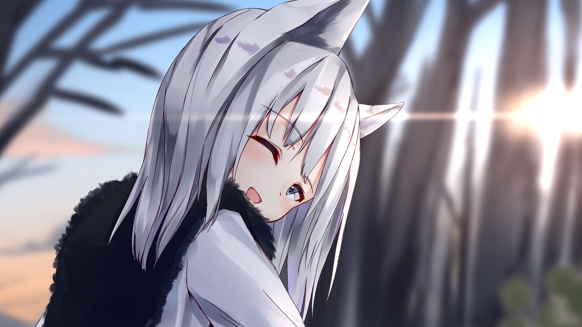 Anime Cat Girl Hd Wallpapers