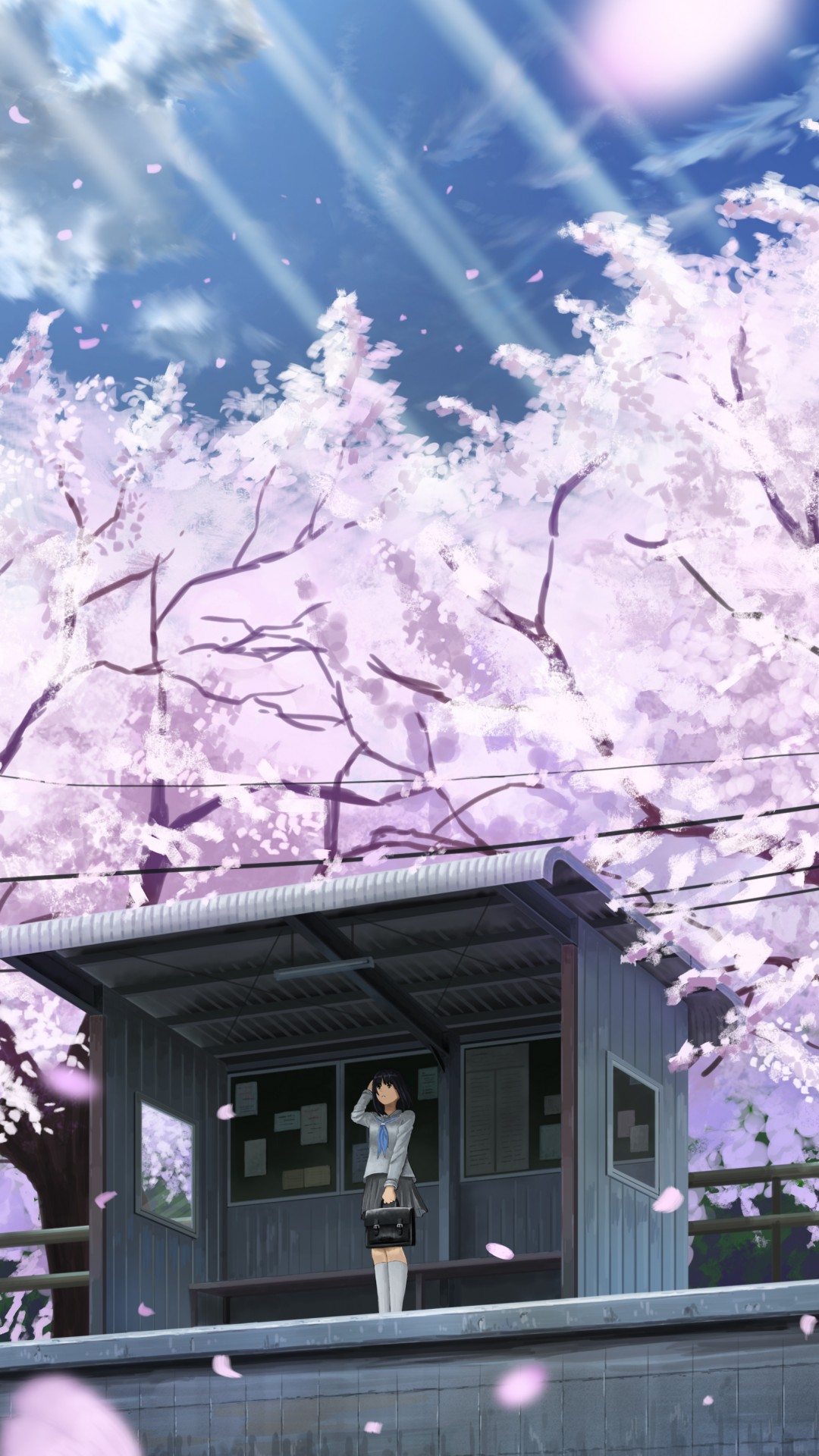 Anime Cherry Blossom 4K Wallpapers