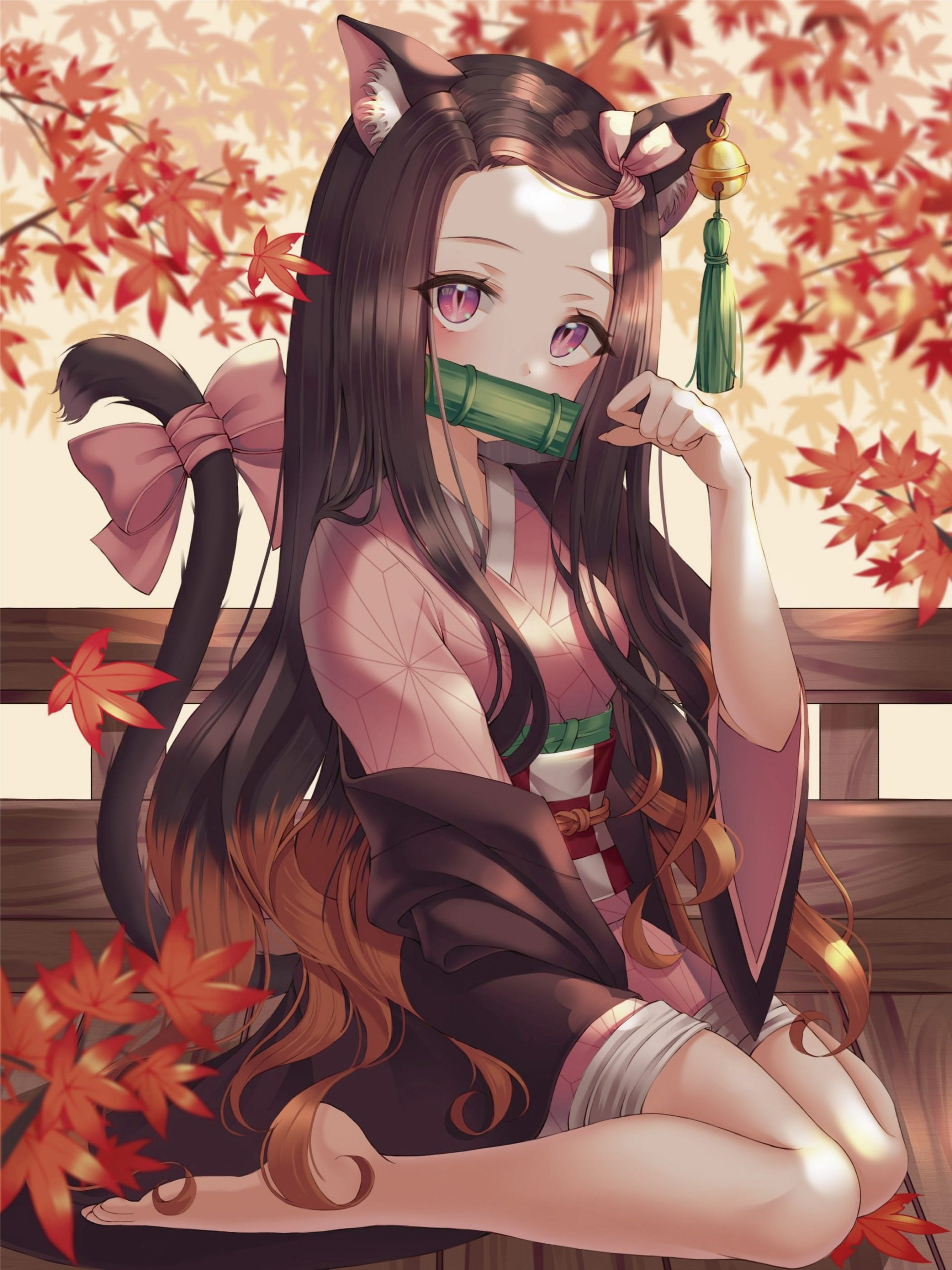 Anime Demon Slayer Nezuko Cute Wallpapers