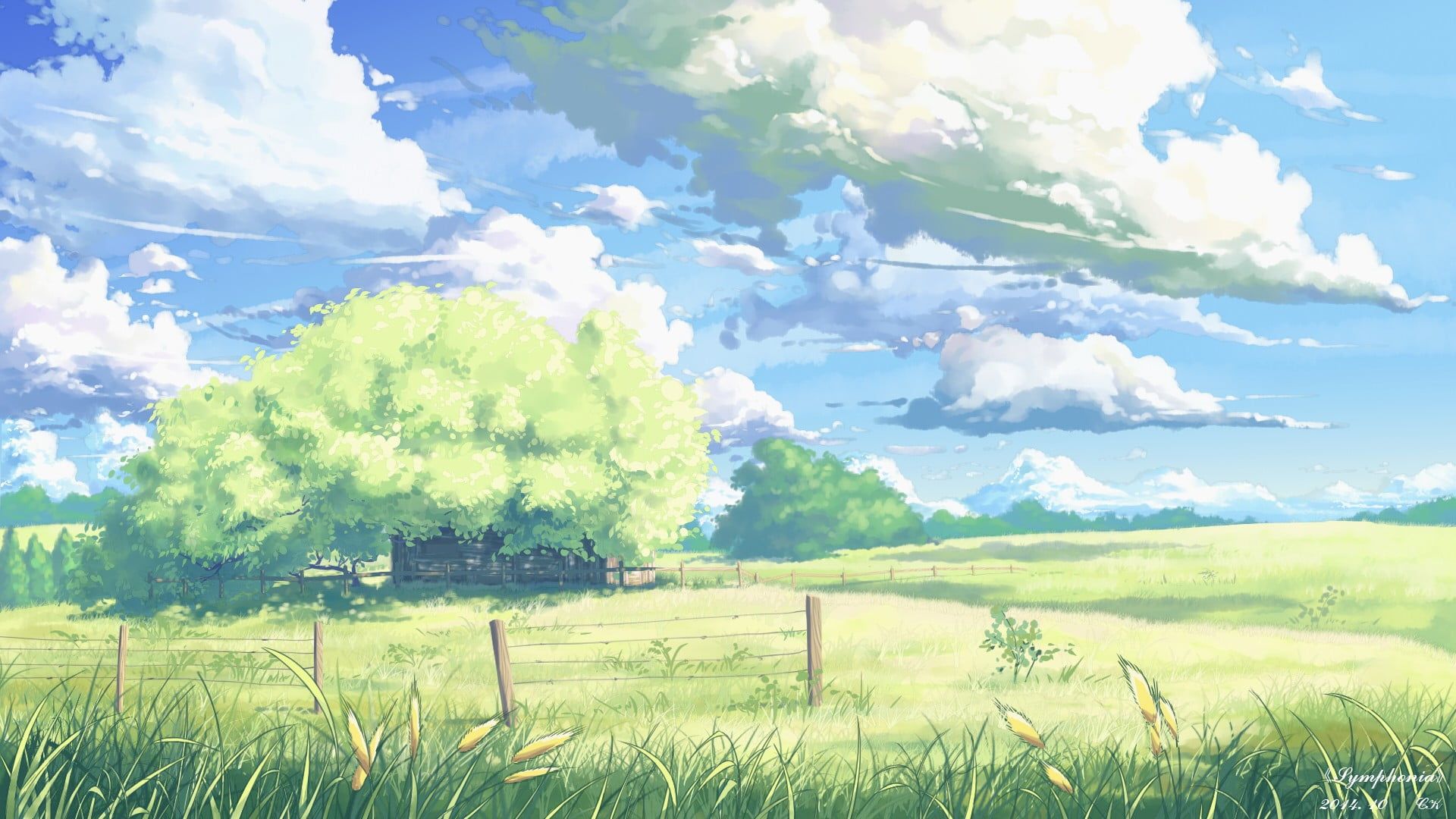 Anime Field Wallpapers