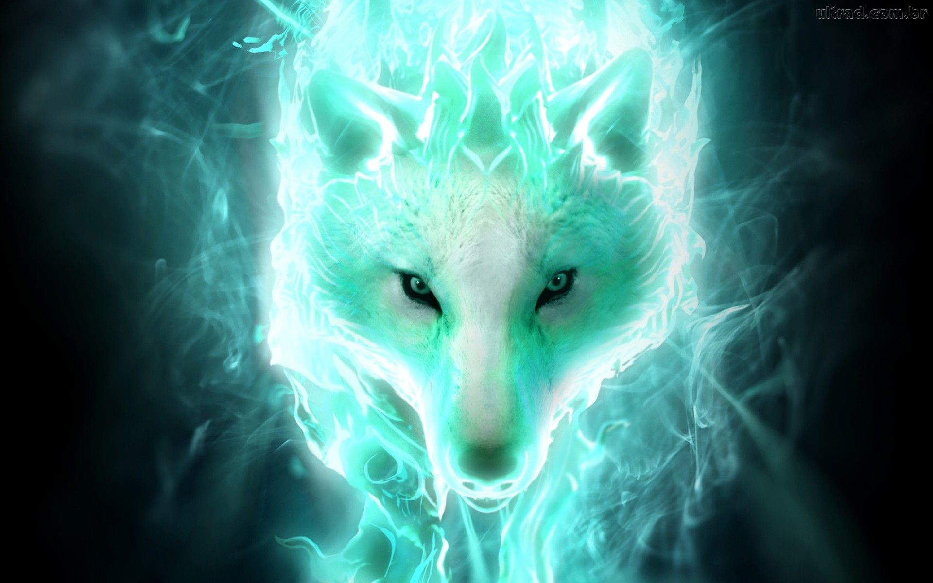 Anime Fire Wolf Wallpapers