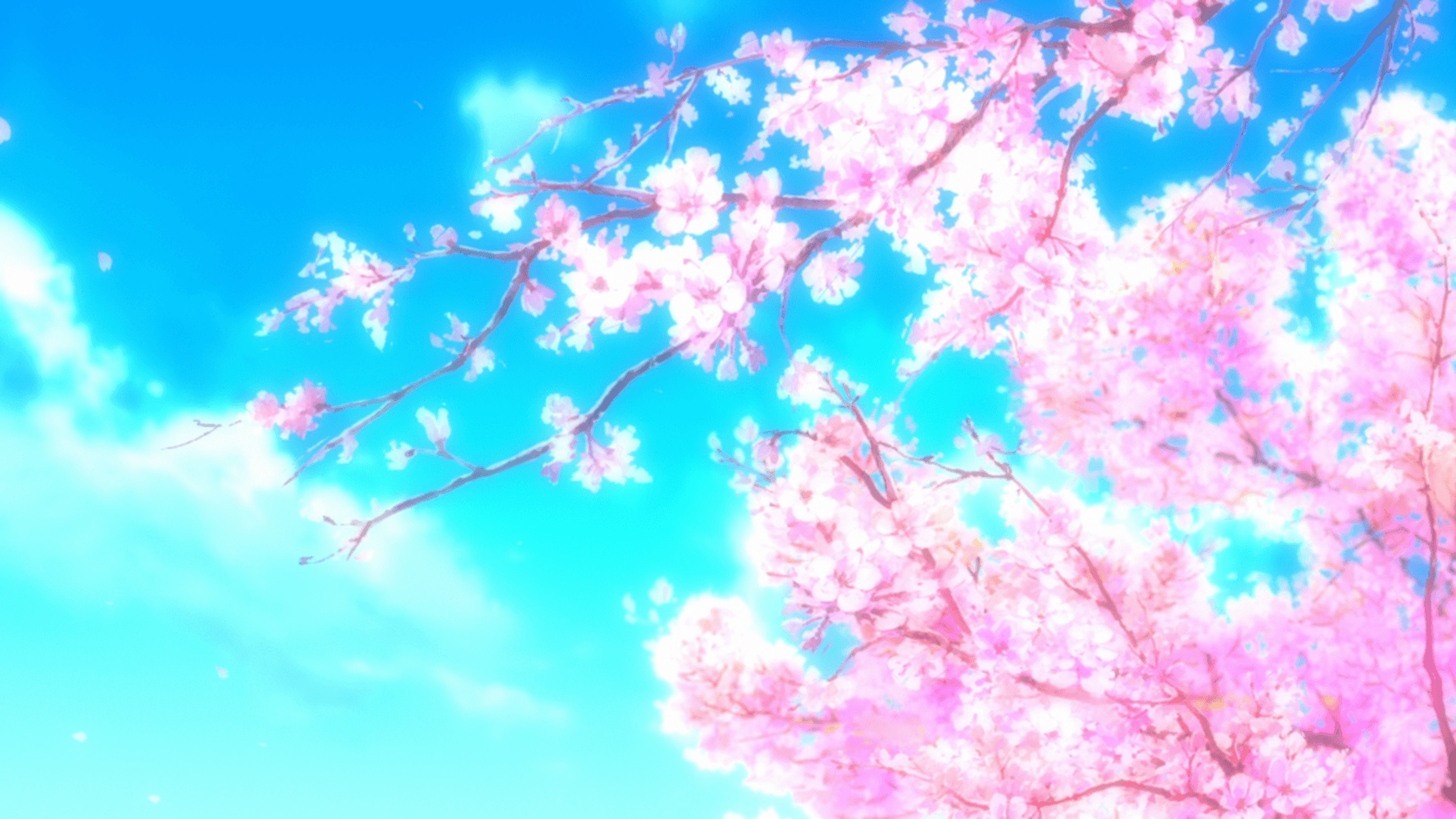 Anime Flower Wallpapers