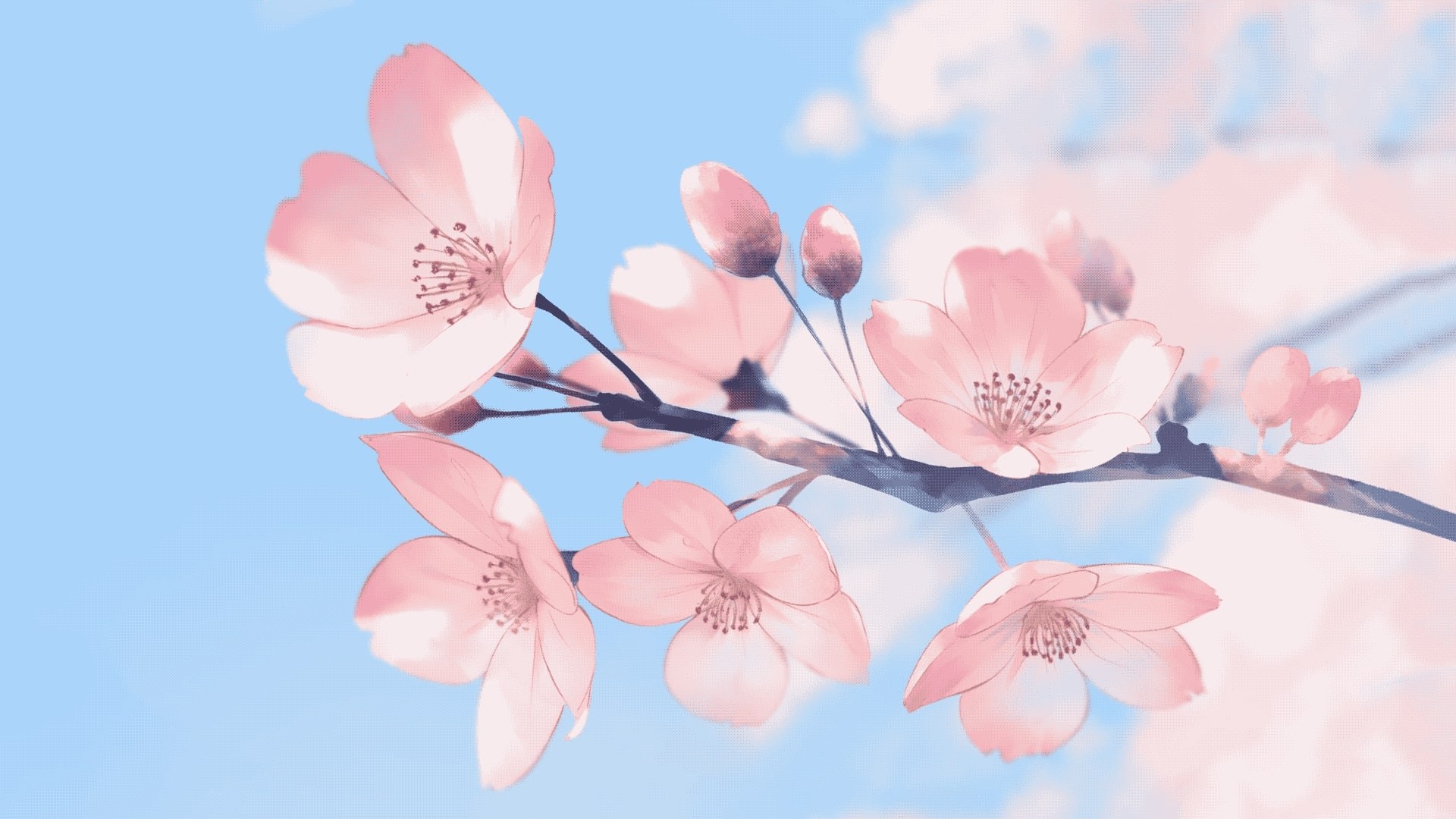 Anime Flower Wallpapers