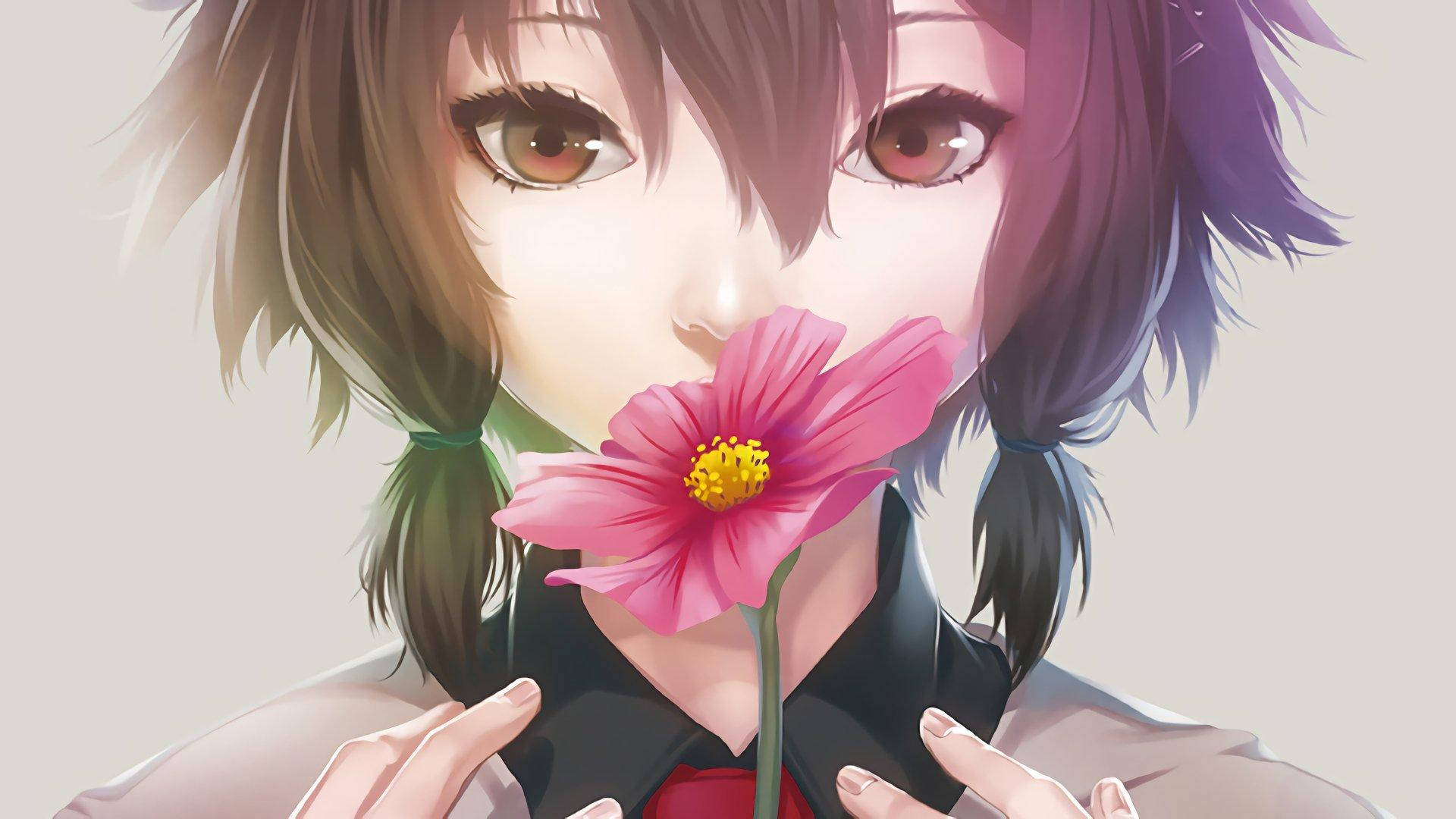 Anime Flower Wallpapers