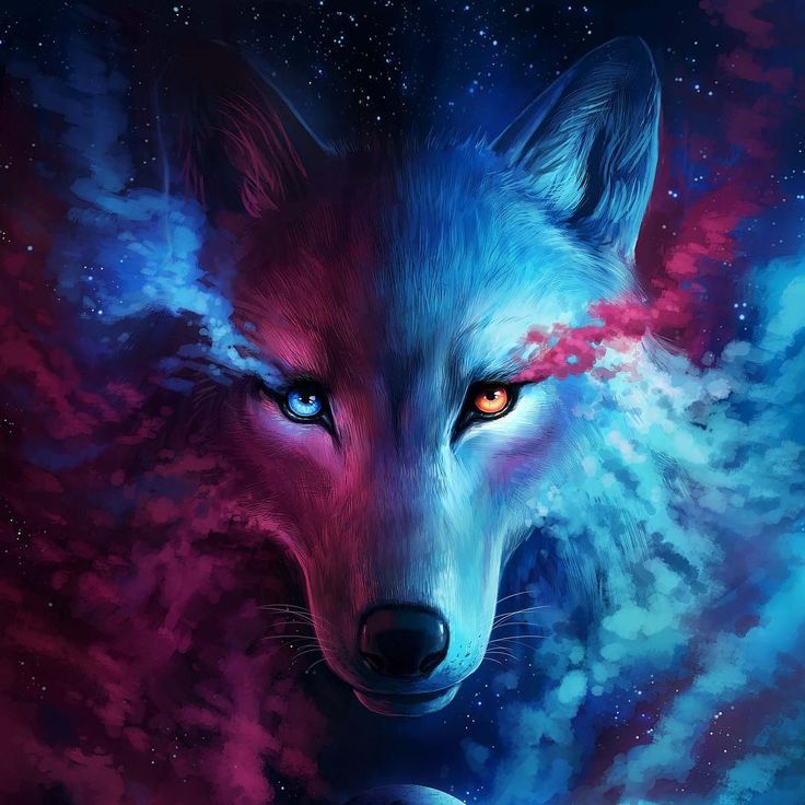 Anime Galaxy Wolf Wallpapers