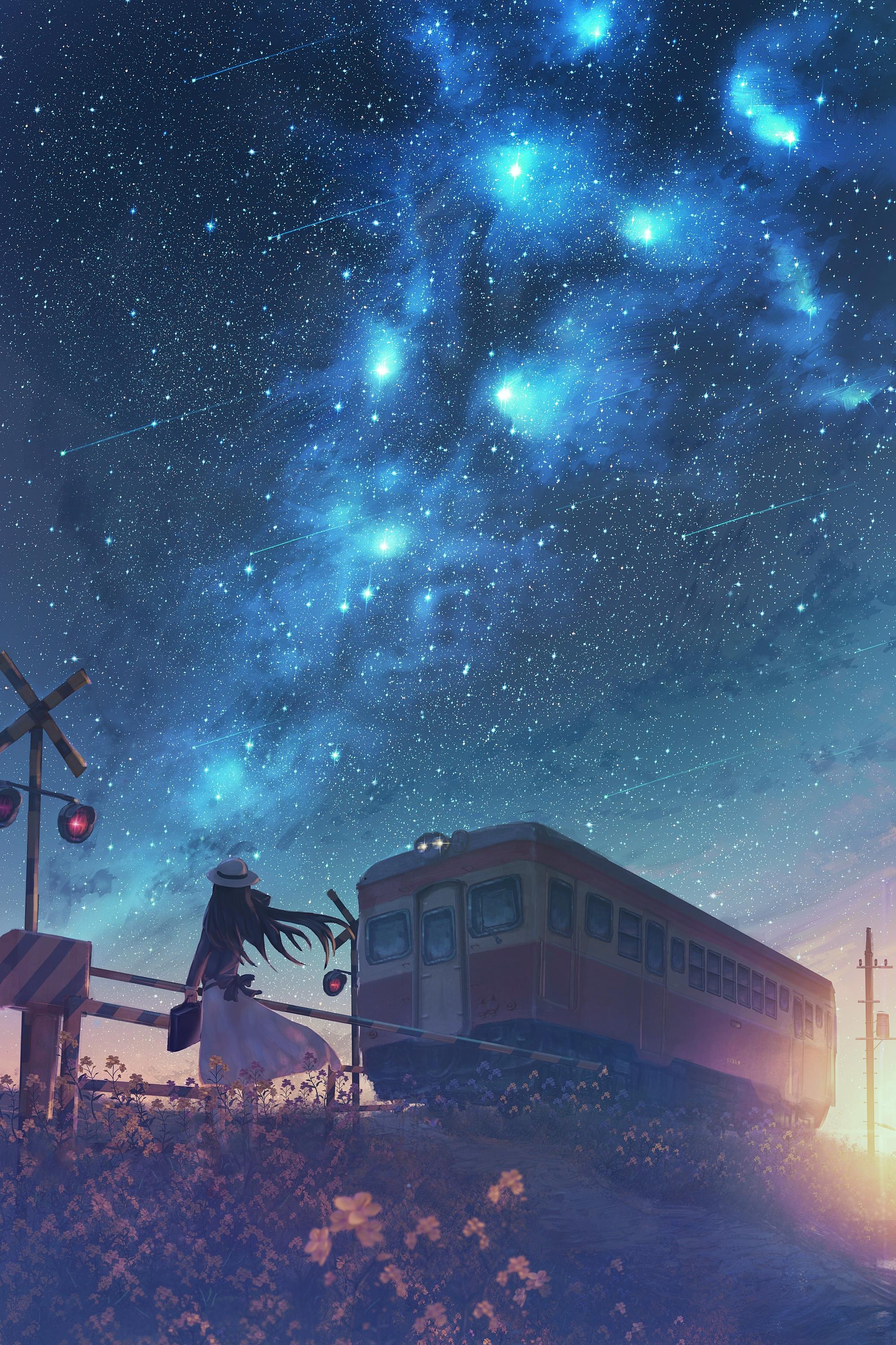 Anime Girl And Cool Starry Sky Wallpapers