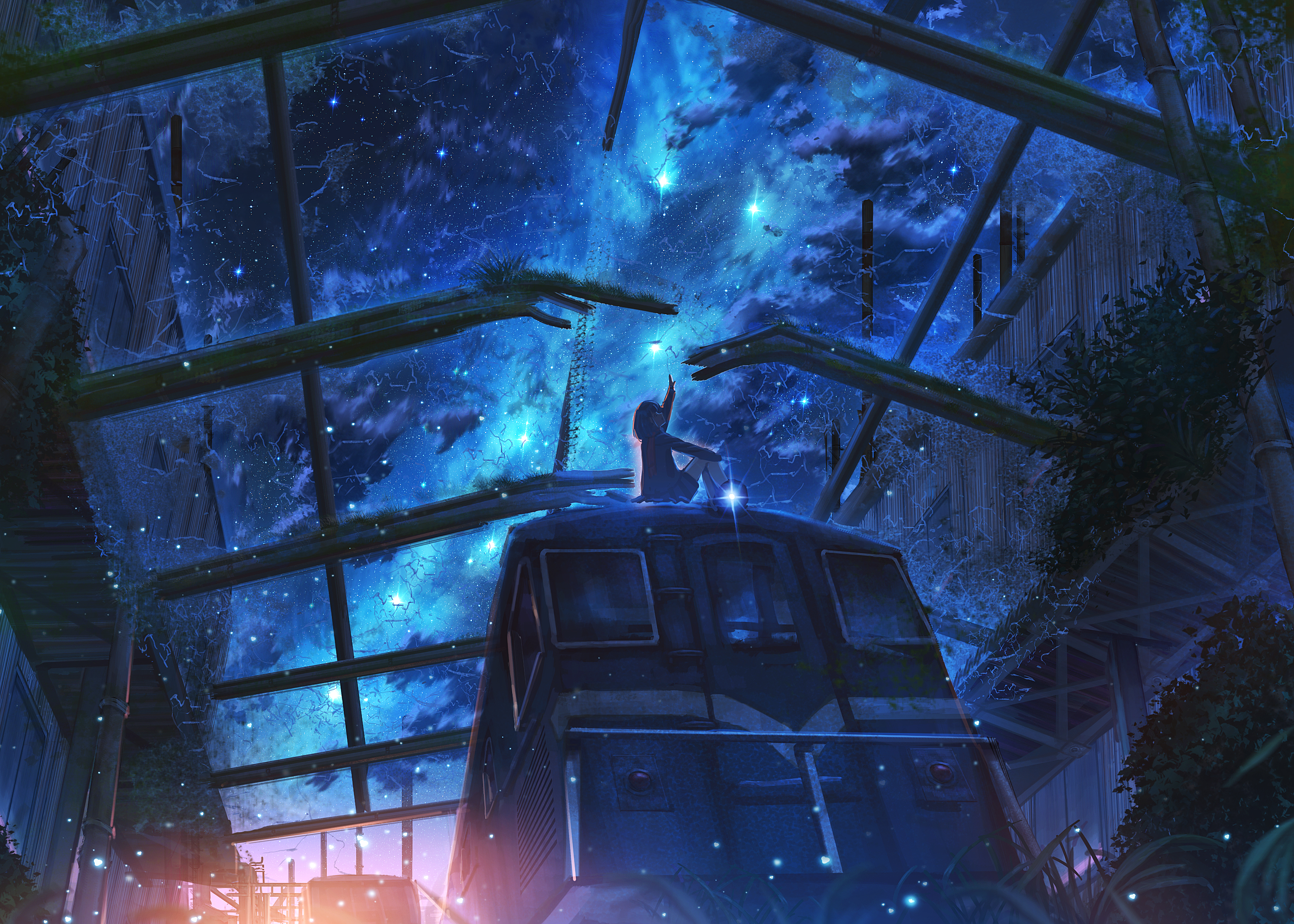 Anime Girl And Cool Starry Sky Wallpapers