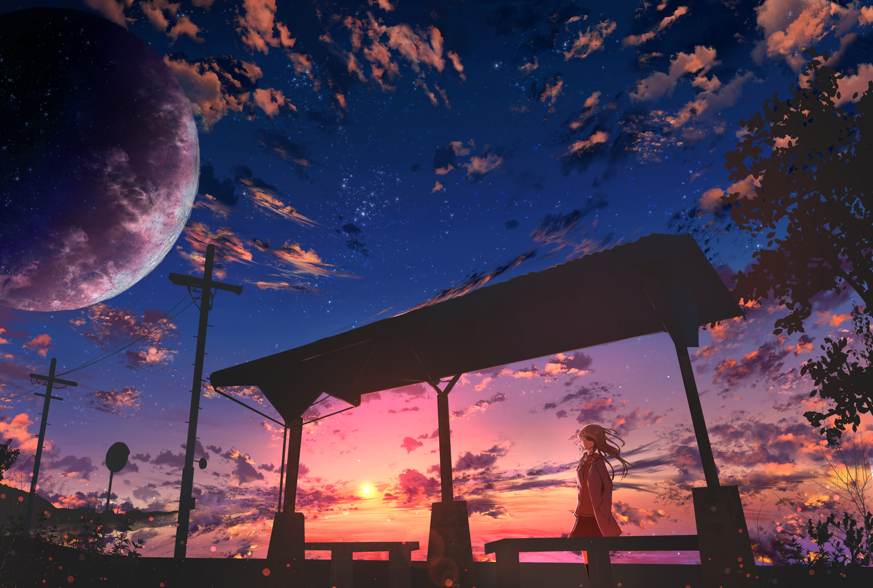 Anime Girl And Cool Starry Sky Wallpapers