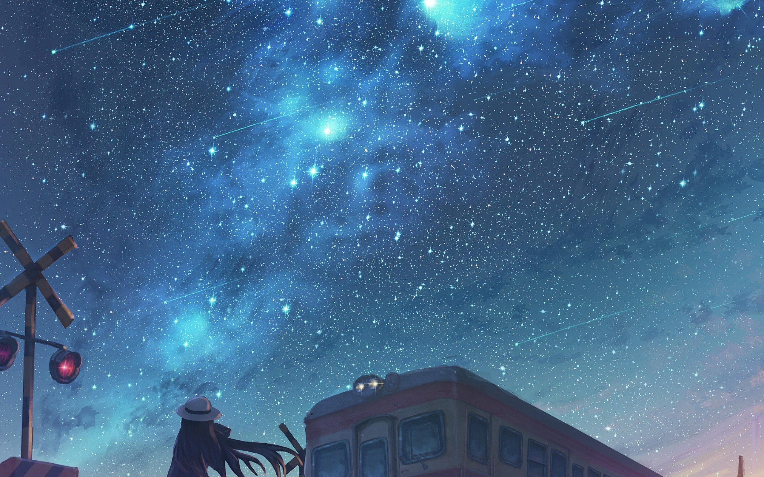 Anime Girl And Cool Starry Sky Wallpapers