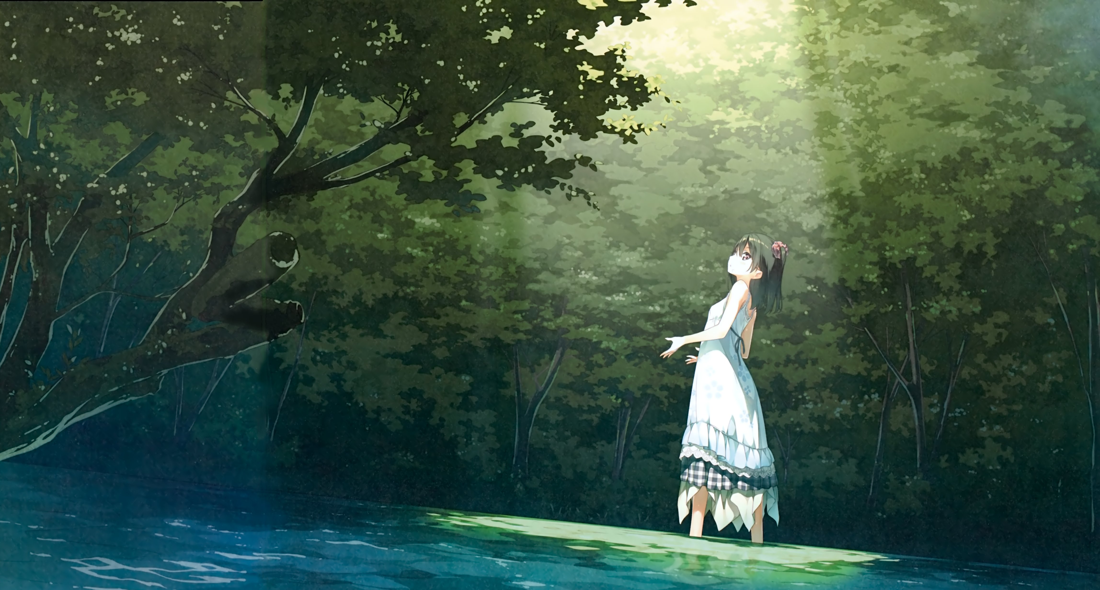 Anime Girl In Forest Wallpapers