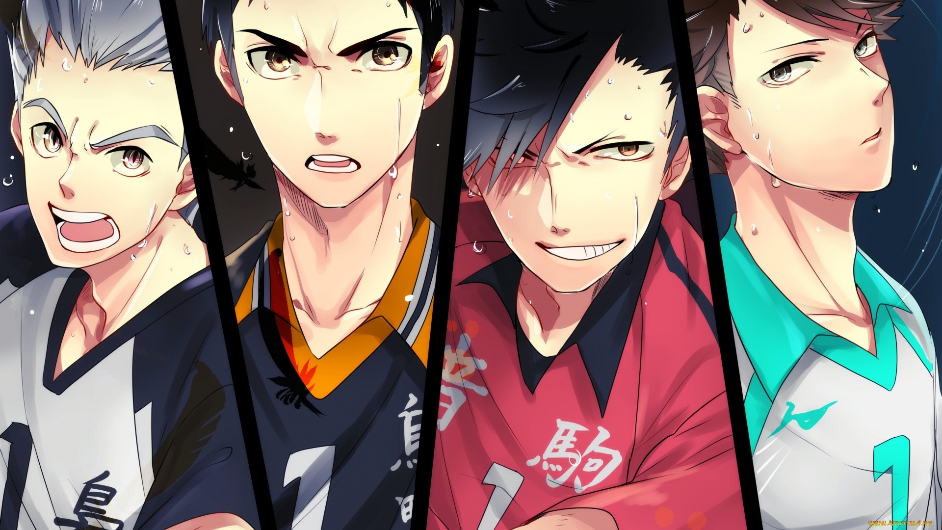 Anime Haikyuu Wallpapers