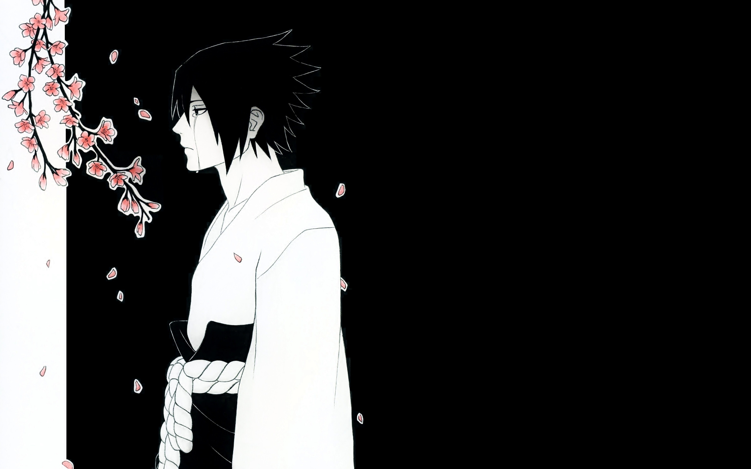 Anime Naruto And Sasuke Wallpapers