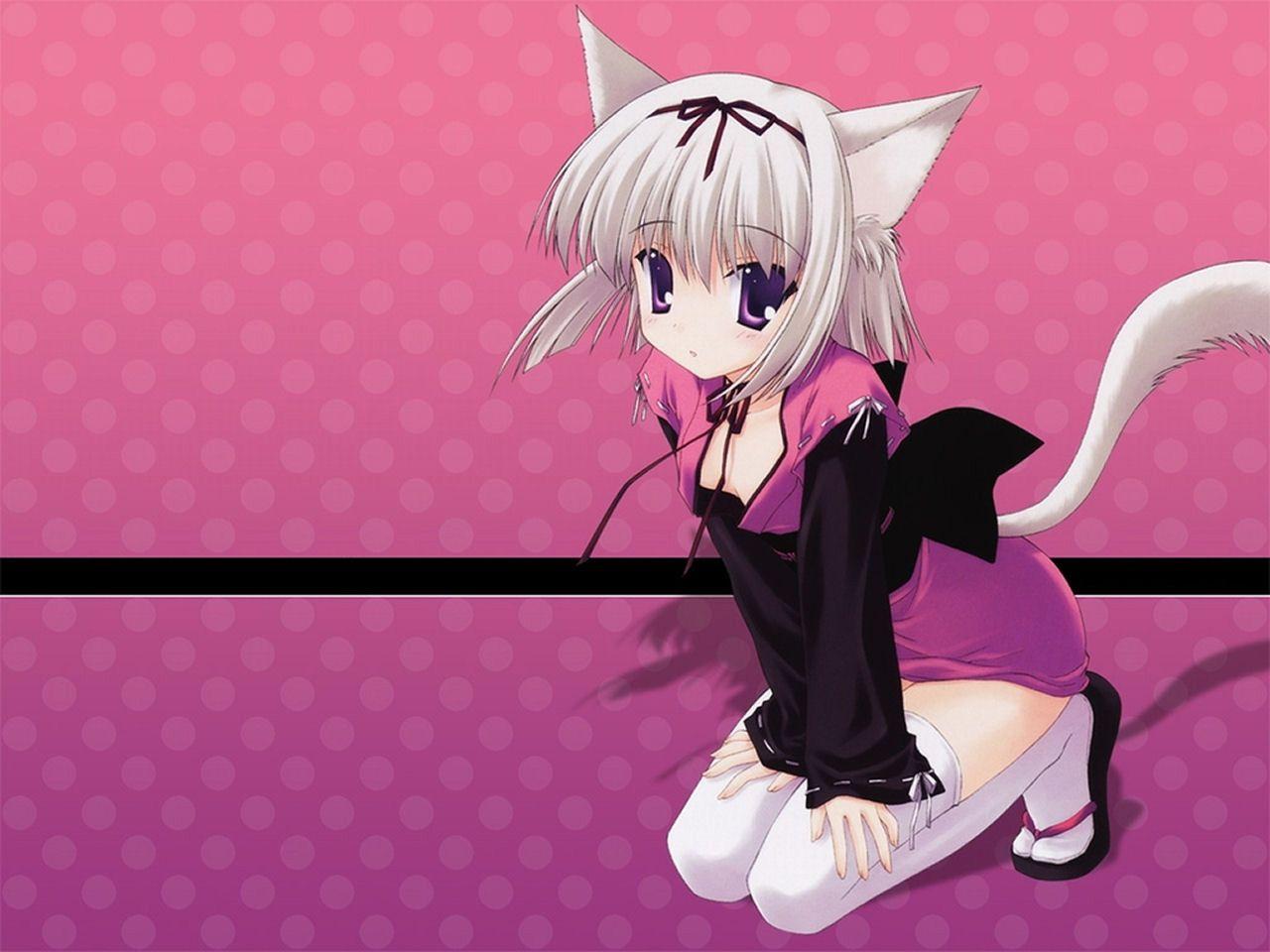 Anime Neko Wallpapers