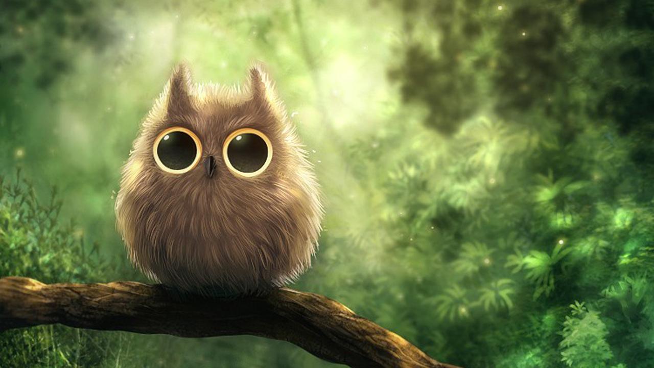 Anime Owl Wallpapers