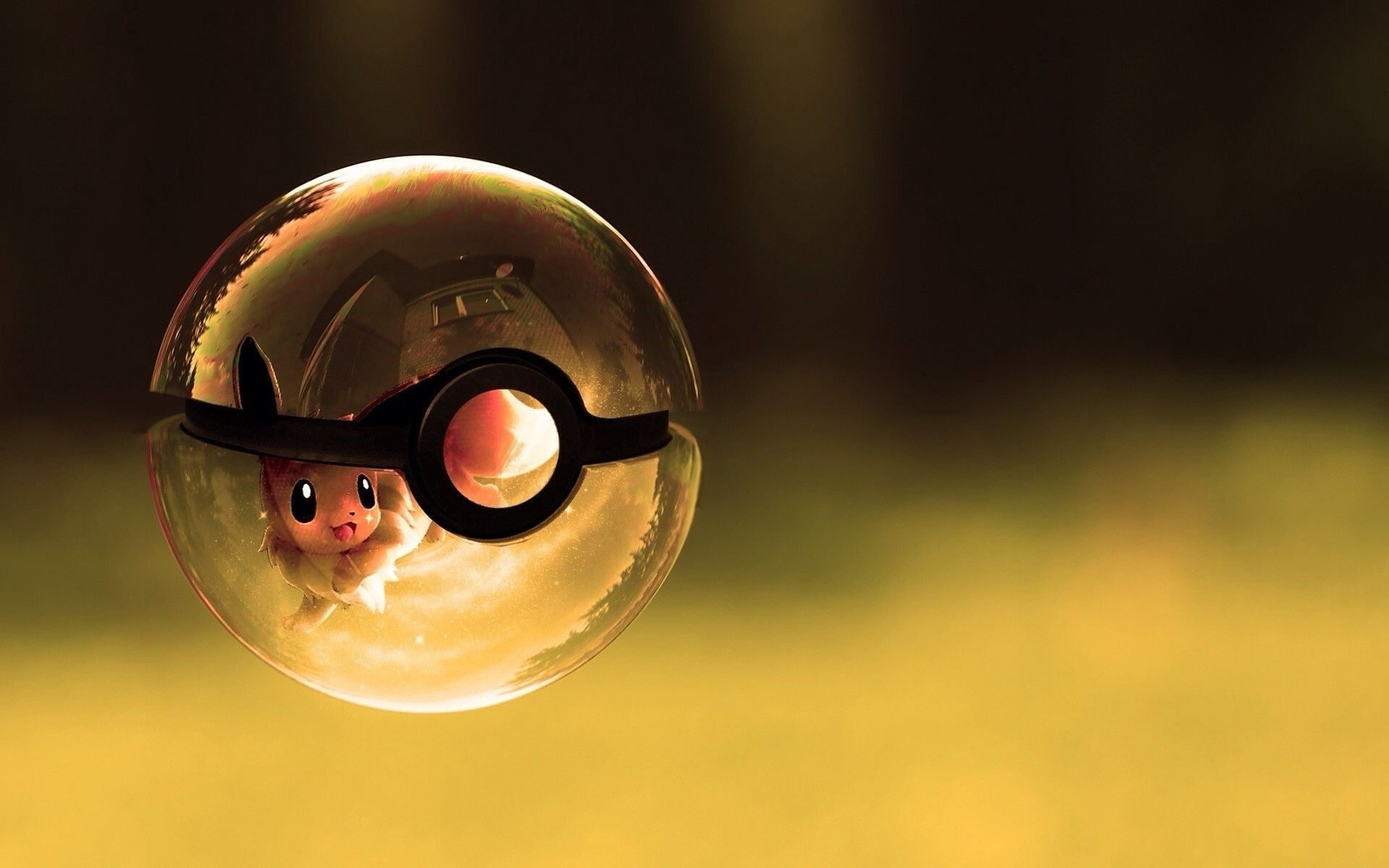 Anime Pokeball Wallpapers