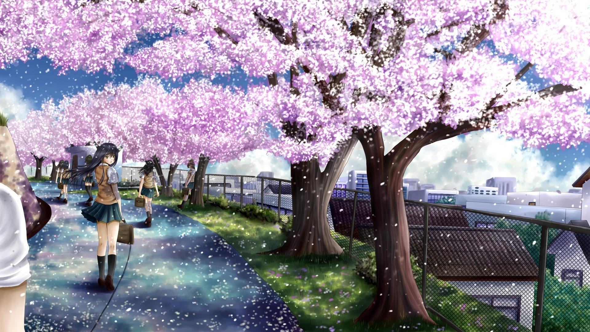 Anime Sakura Flower Wallpapers