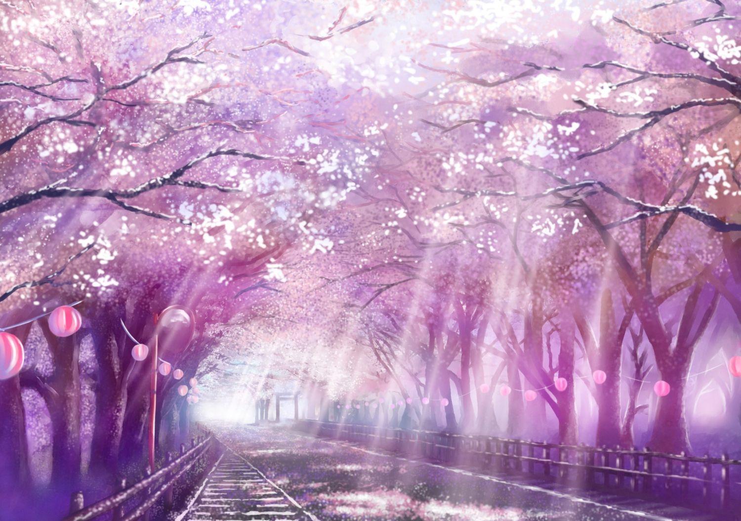 Anime Sakura Tree Wallpapers