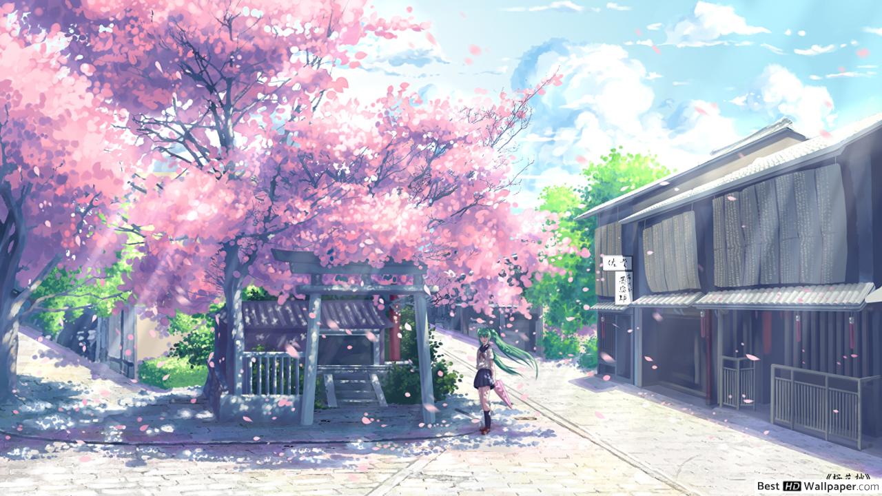 Anime Sakura Tree Wallpapers